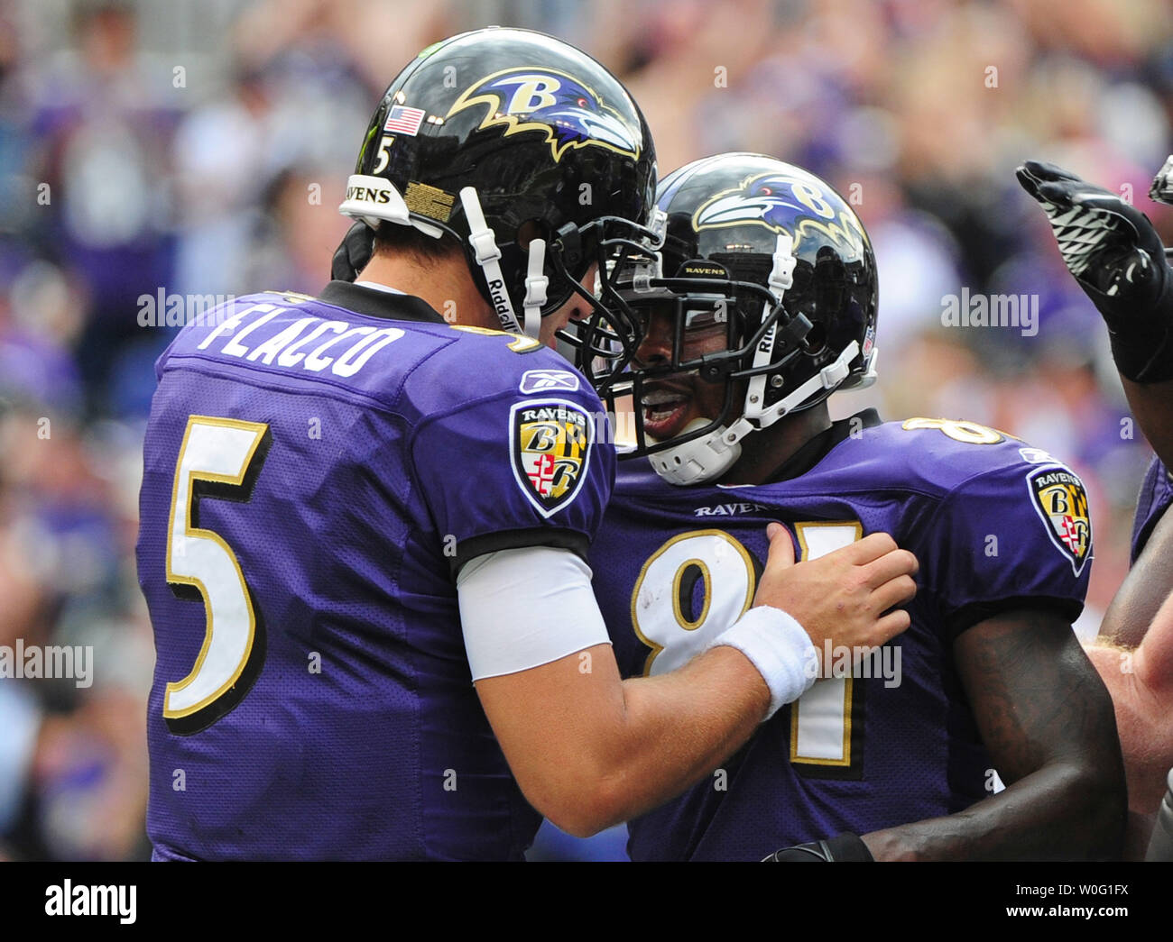 Anquan Boldin High Resolution Stock Photography And Images Alamy Anquan Boldin High Resolution Stock Photography And Images Alamy
