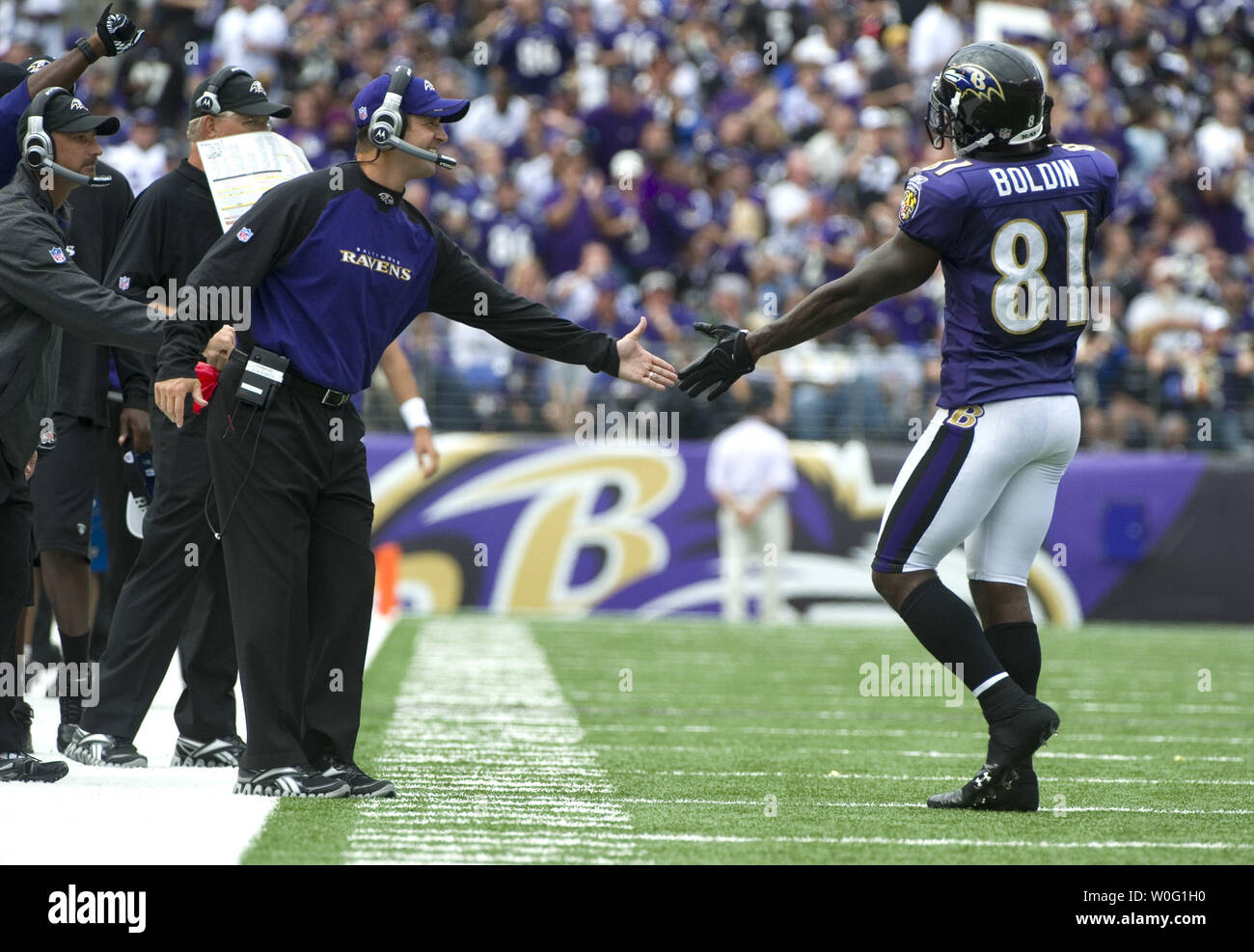 Anquan Boldin High Resolution Stock Photography And Images Alamy Anquan Boldin High Resolution Stock Photography And Images Alamy