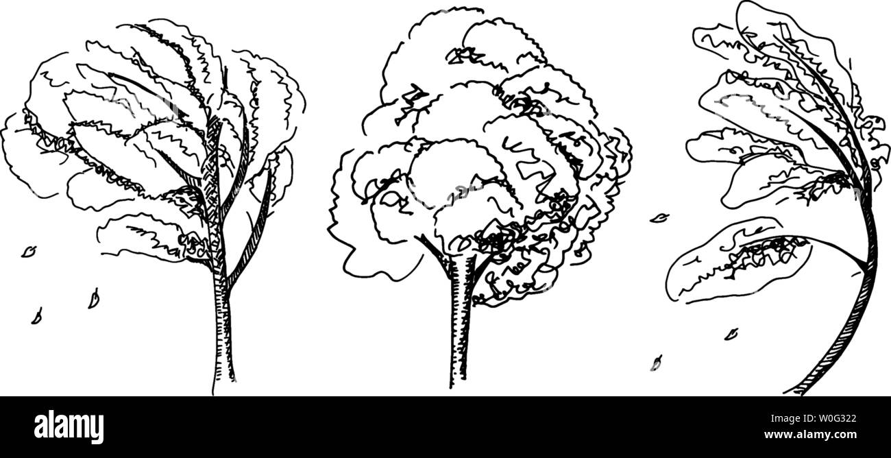 A set of vector pen and ink drawings of autumn trees with falling ...
