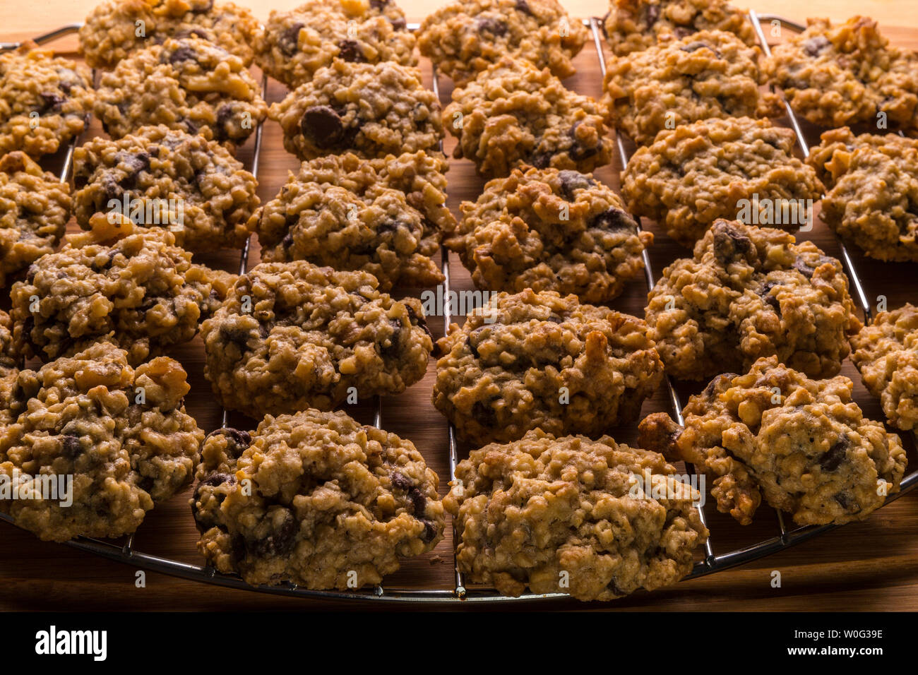 chocolate chip cookies cooling on wire rack Stock Photo