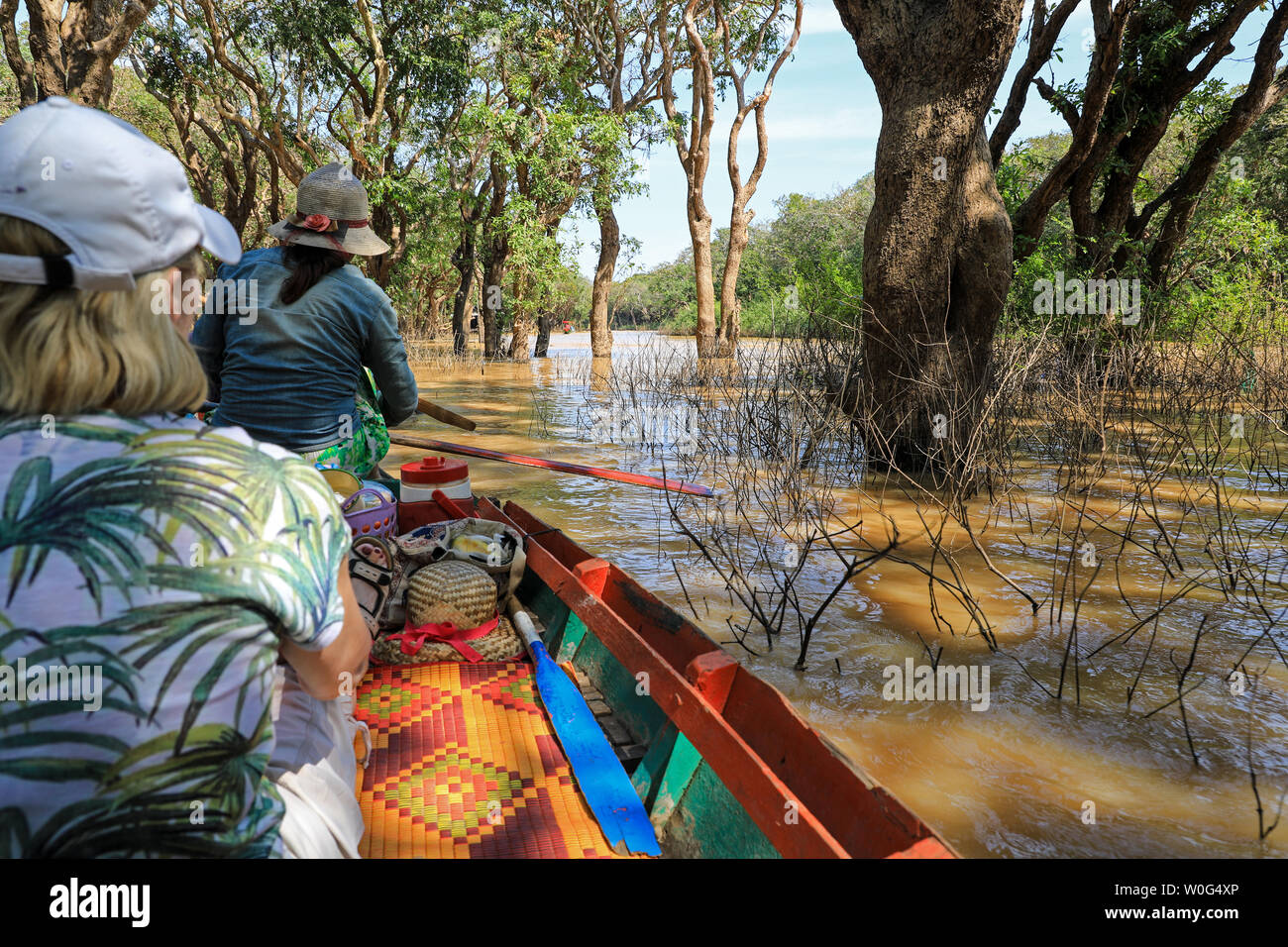 Local women rowing Tourist boats through the Mangrove swamps on Tonlé Sap River, Tonlé Sap Lake, near to Siem Reap, Cambodia, South East Asia Stock Photo