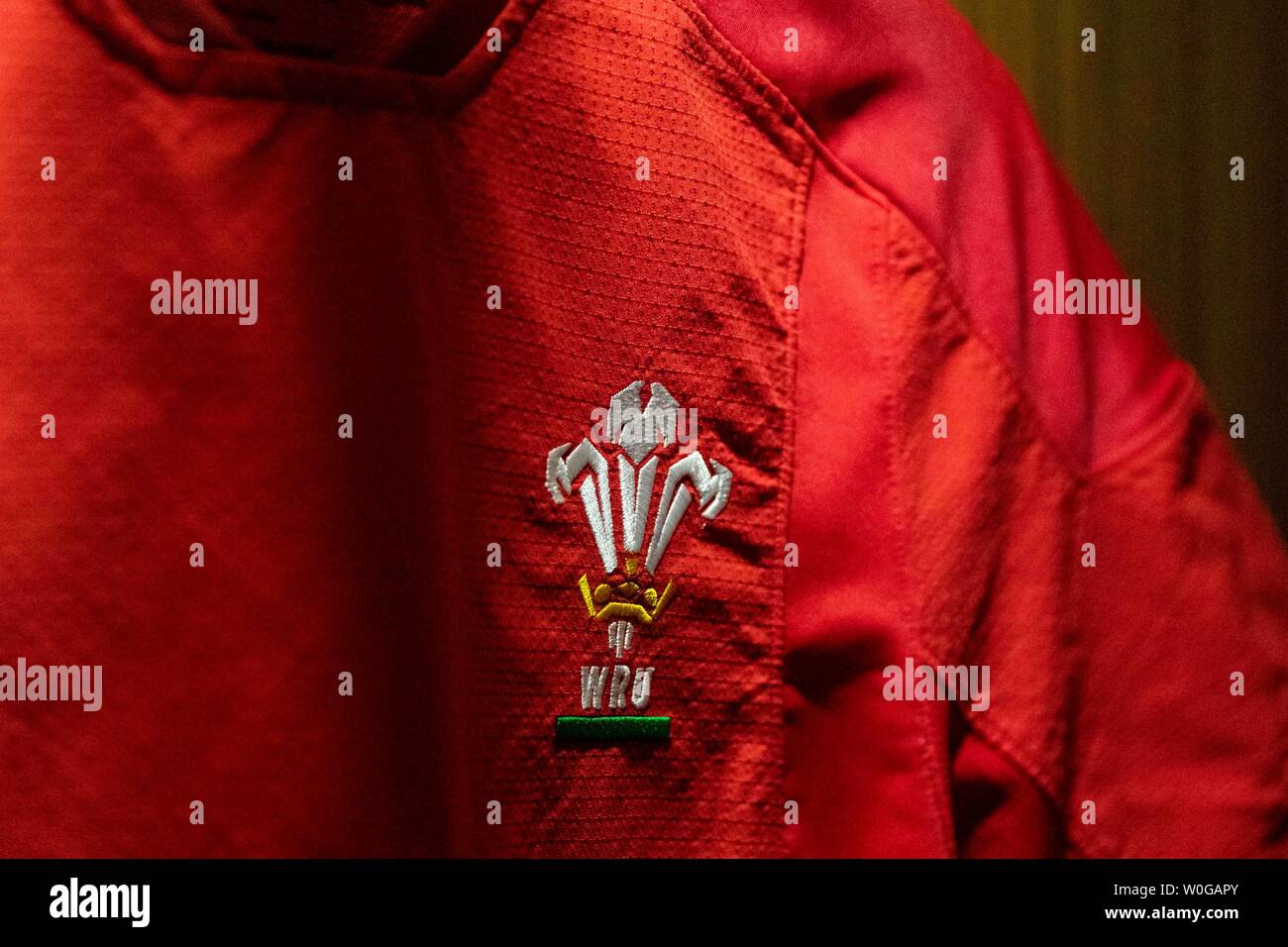 The crest of a Wales rugby jersey hanging in the Wales dressing room at