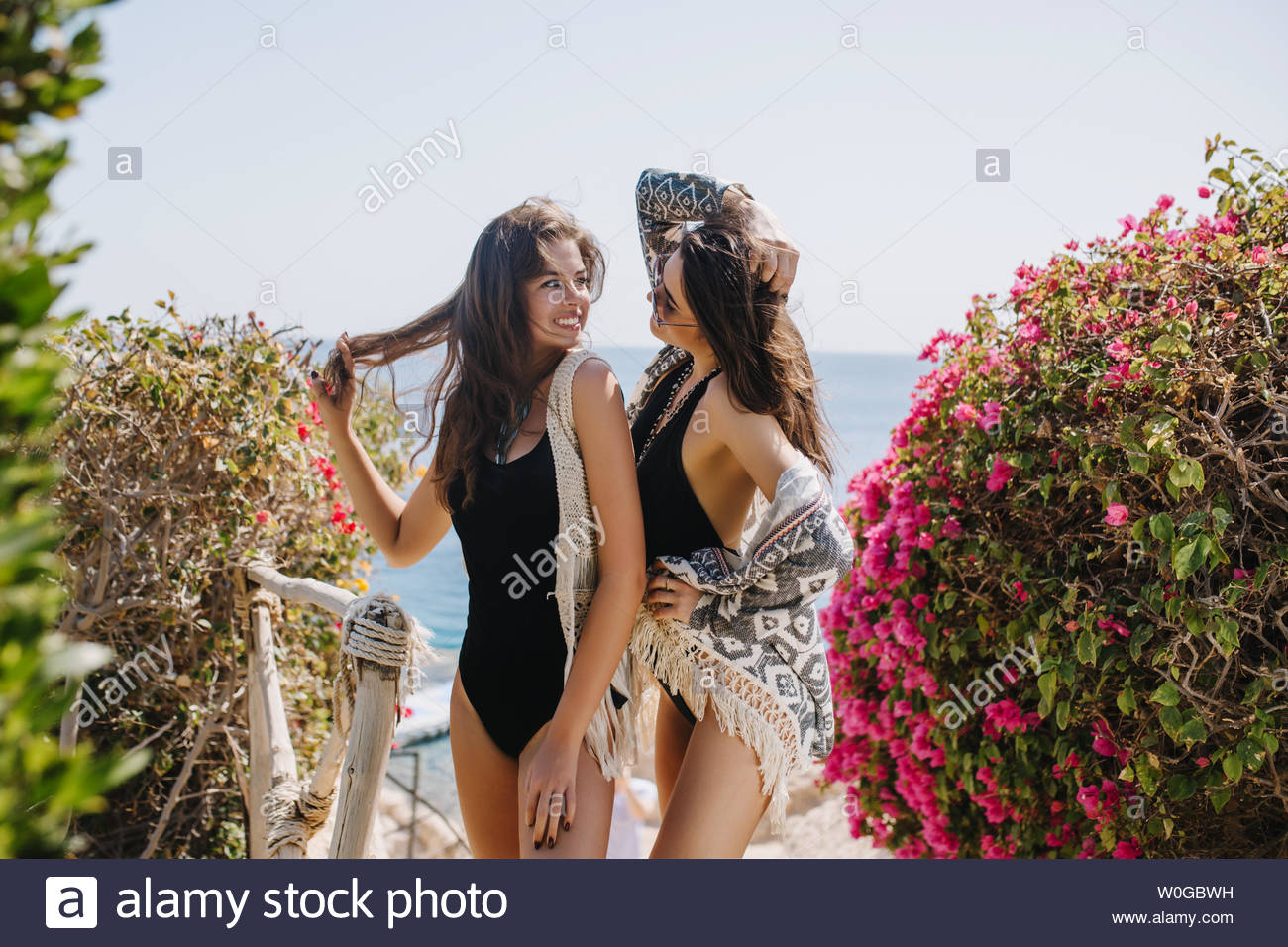 next swimwear ladies