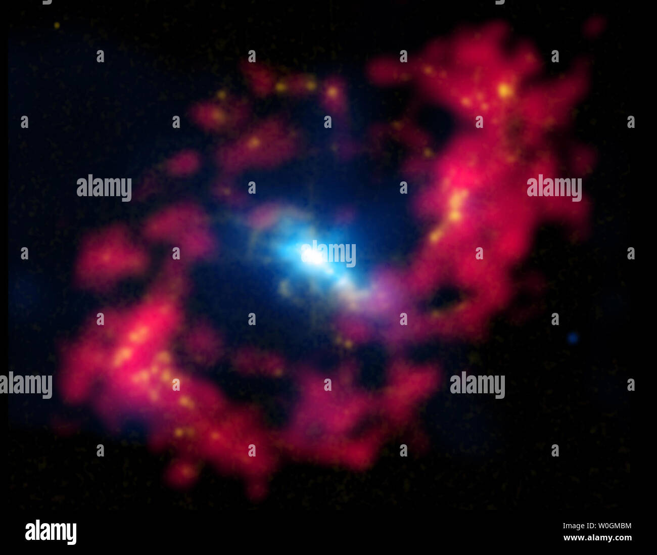 This undated NASA composite image shows the central region of the spiral galaxy NGC 4151. X-rays (blue) from the Chandra X-ray Observatory are combined with optical data (yellow) showing positively charged hydrogen (H II) from observations with the 1-meter Jacobus Kapteyn Telescope, December 31, 2011. UPI/NASA Stock Photo