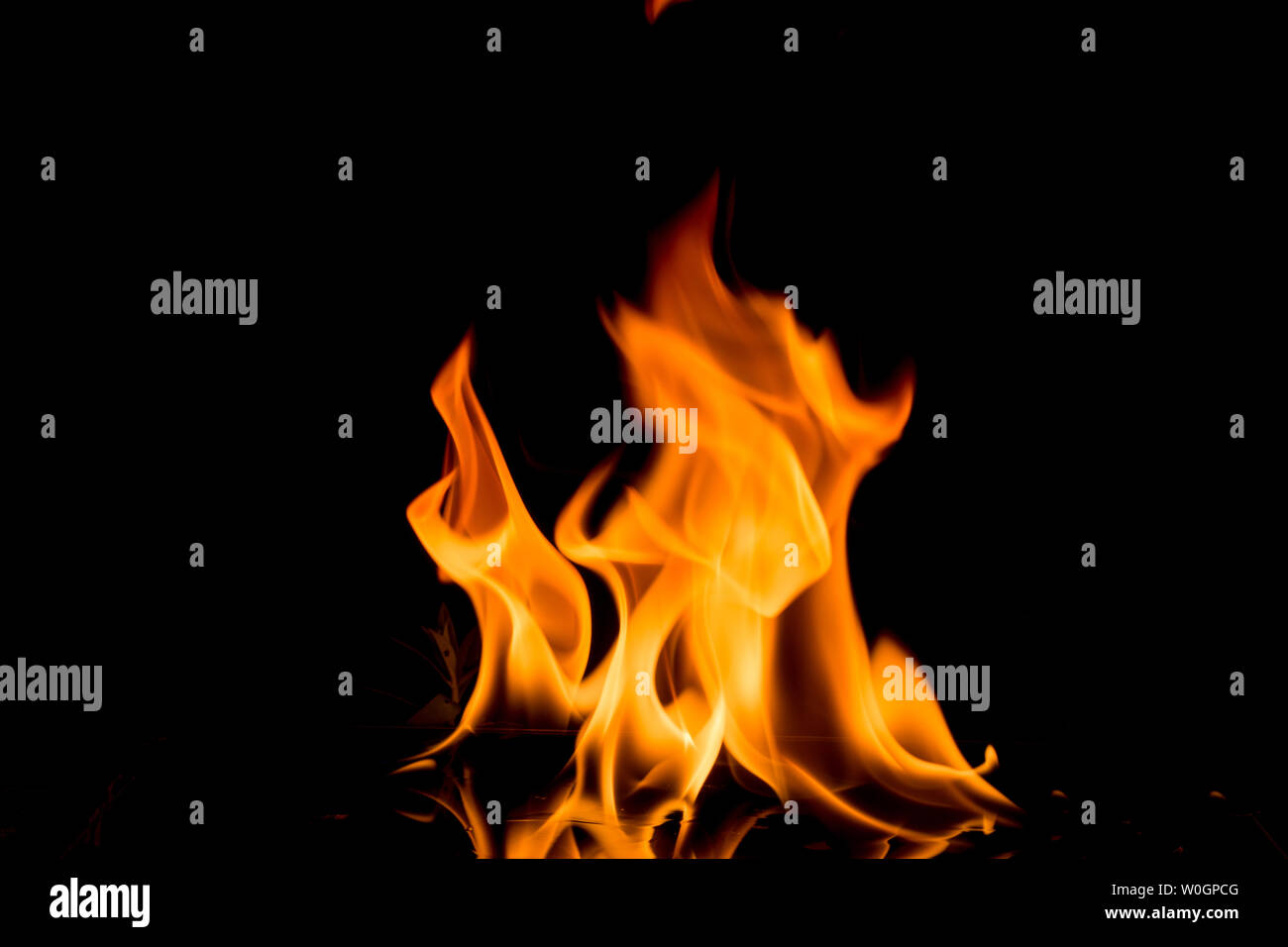 Nature Fire flames on black background. Freeze motion of Red-Yellow ...