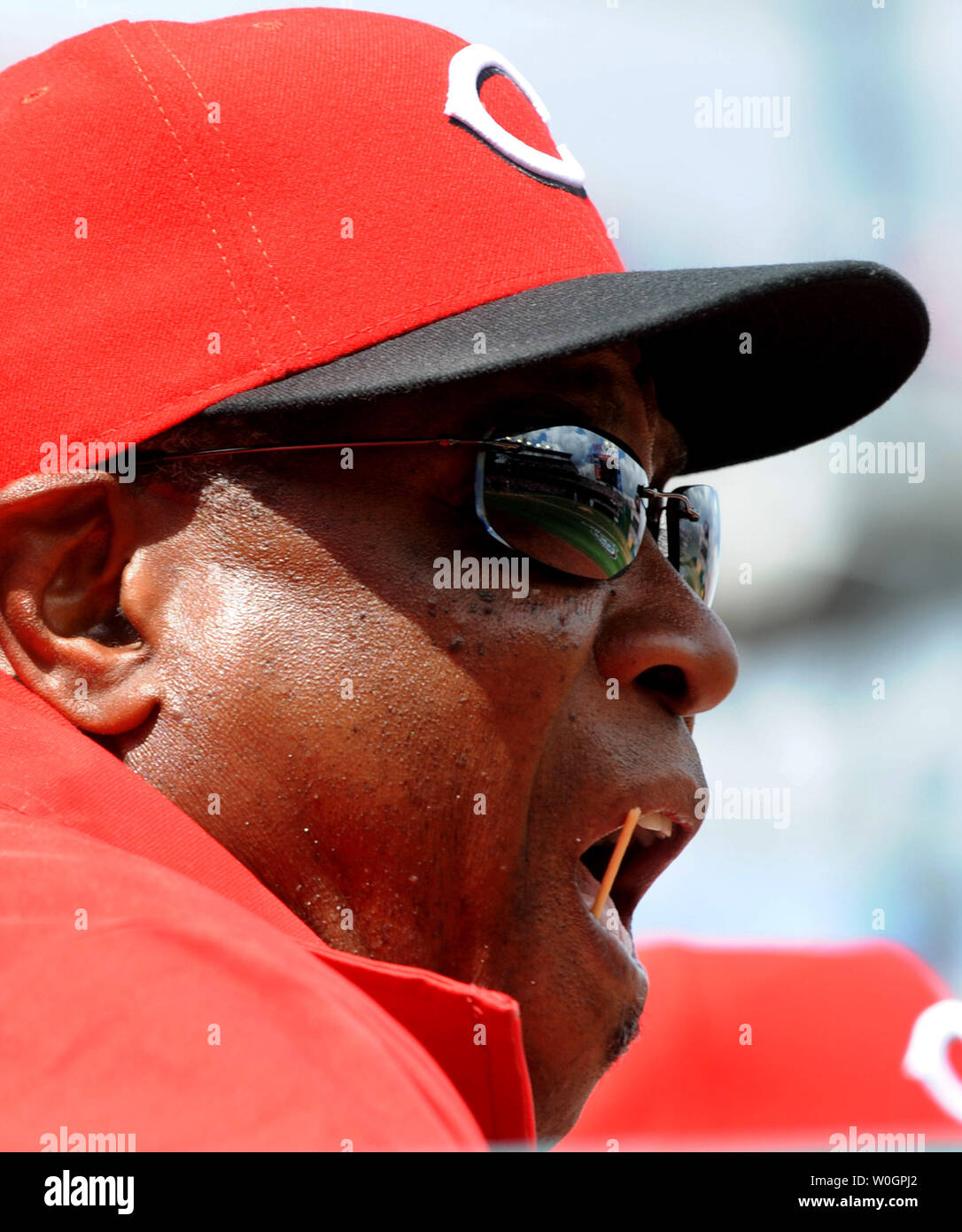 Cincinnati Reds Manager Dusty Baker has his trusty toothpick as he