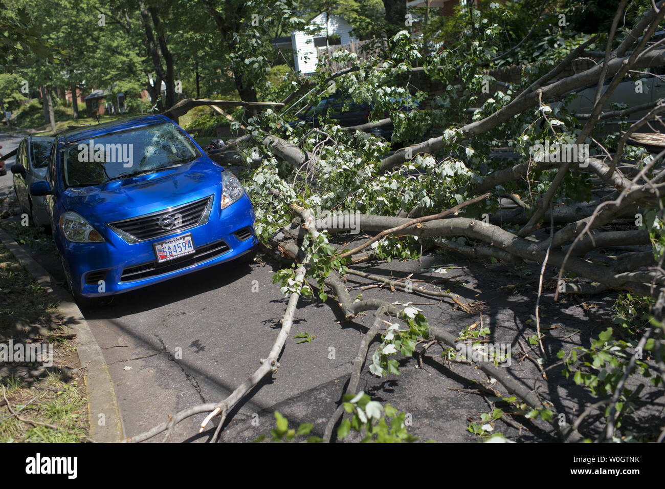 Fallen tree limbs surround a car in Takoma Park, Maryland after heavy