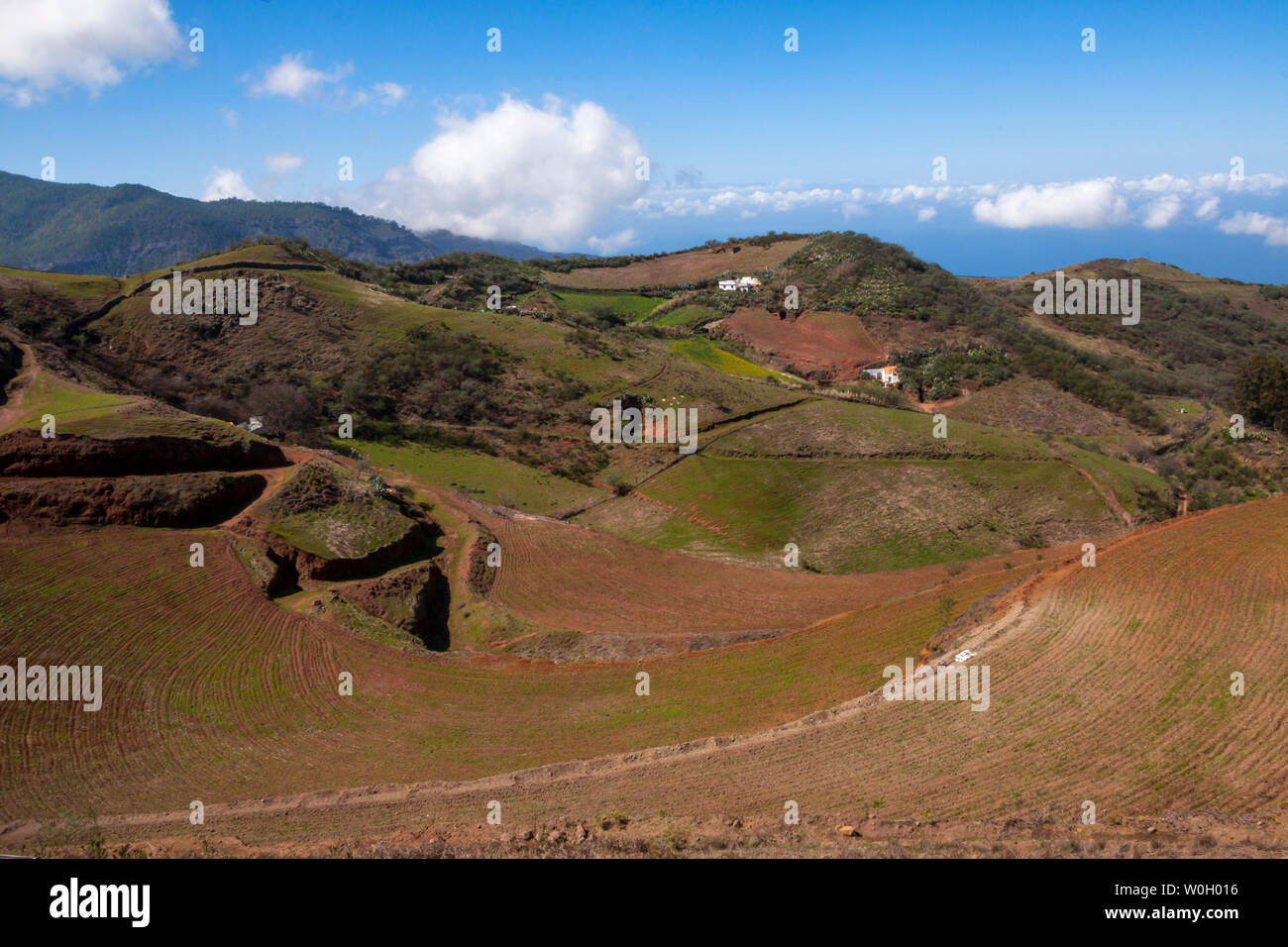 Paisaje Monte Pavón, Santa María de Guía, Gran Canaria - Stock Image