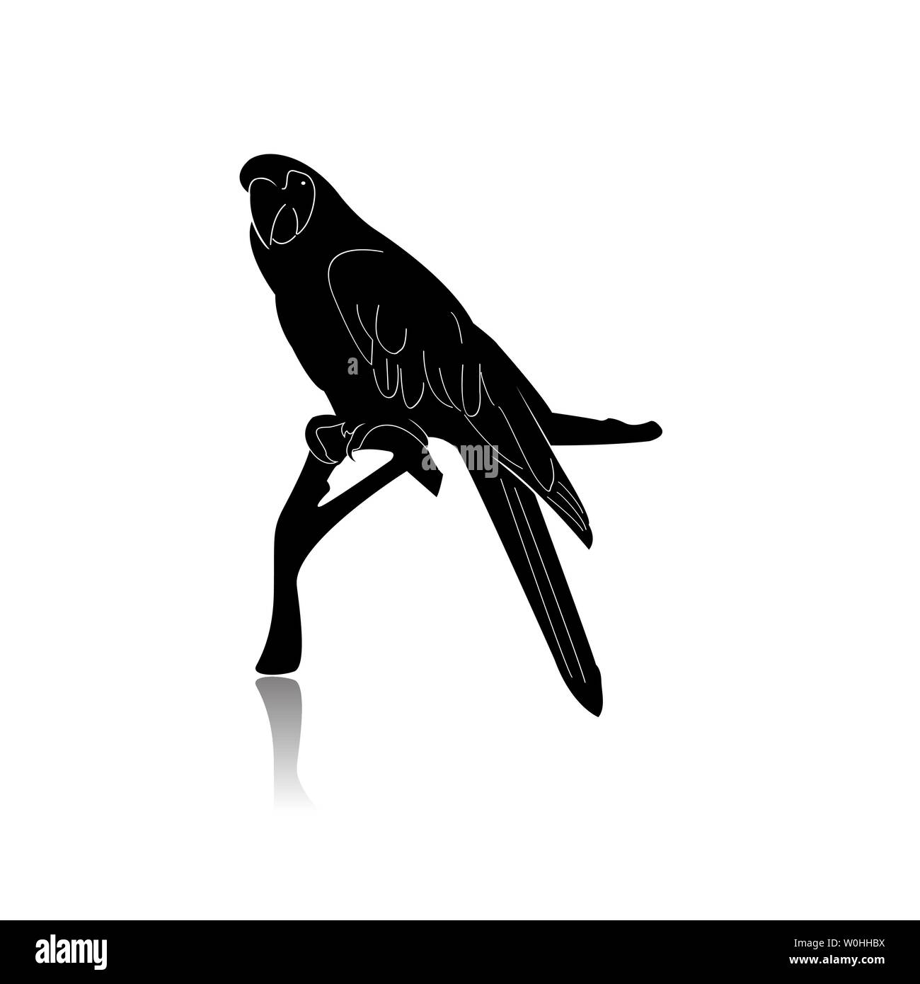 Parrot Bird Silhouette Isolated on White Background Stock Vector