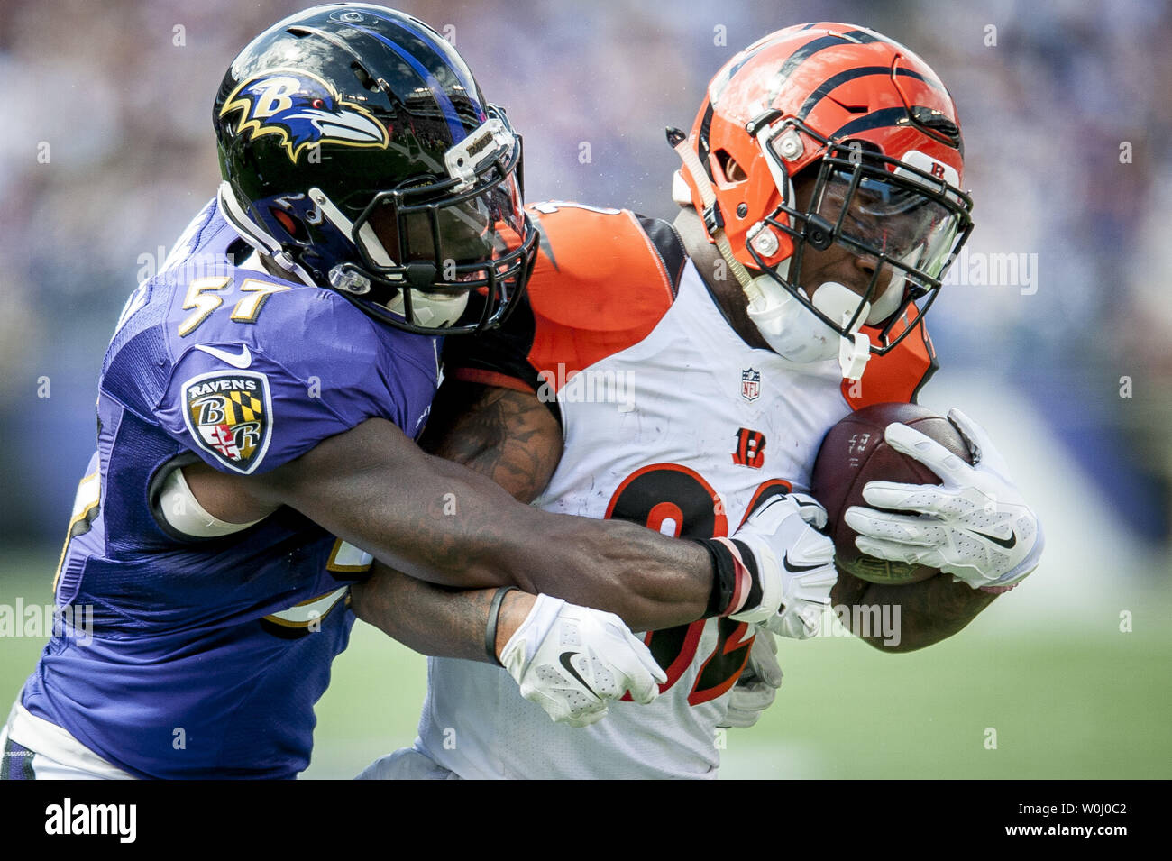 C j mosley baltimore ravens hi res stock photography and images Alamy