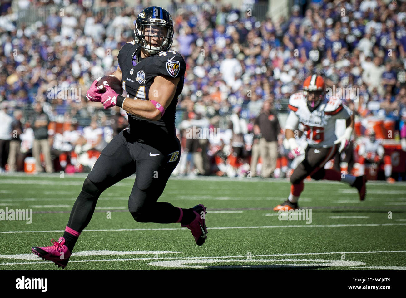 Baltimore Ravens' quarterback Jimmy Clausen passes under heavy pressure  during the fourth quarter against the Kansas City Chiefs' at M&M Bank  Stadium on December 20, 2015 in Baltimore, Maryland. Kansas City won