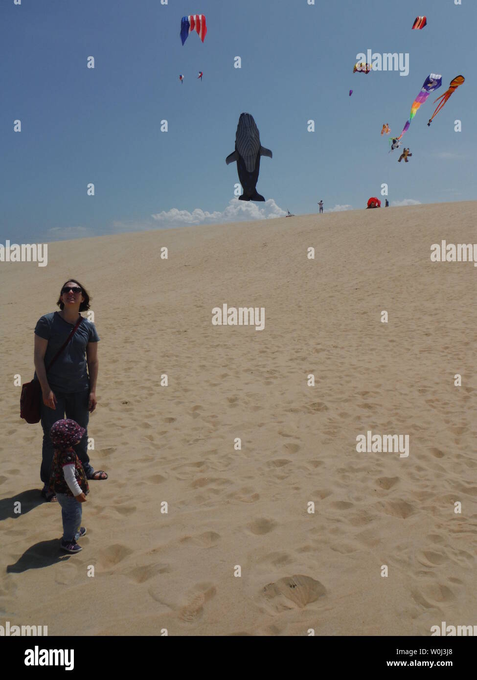 Kitty Hawk Kite festival, Jockeys Ridge, Kitty Hawk NC Stock Photo Alamy