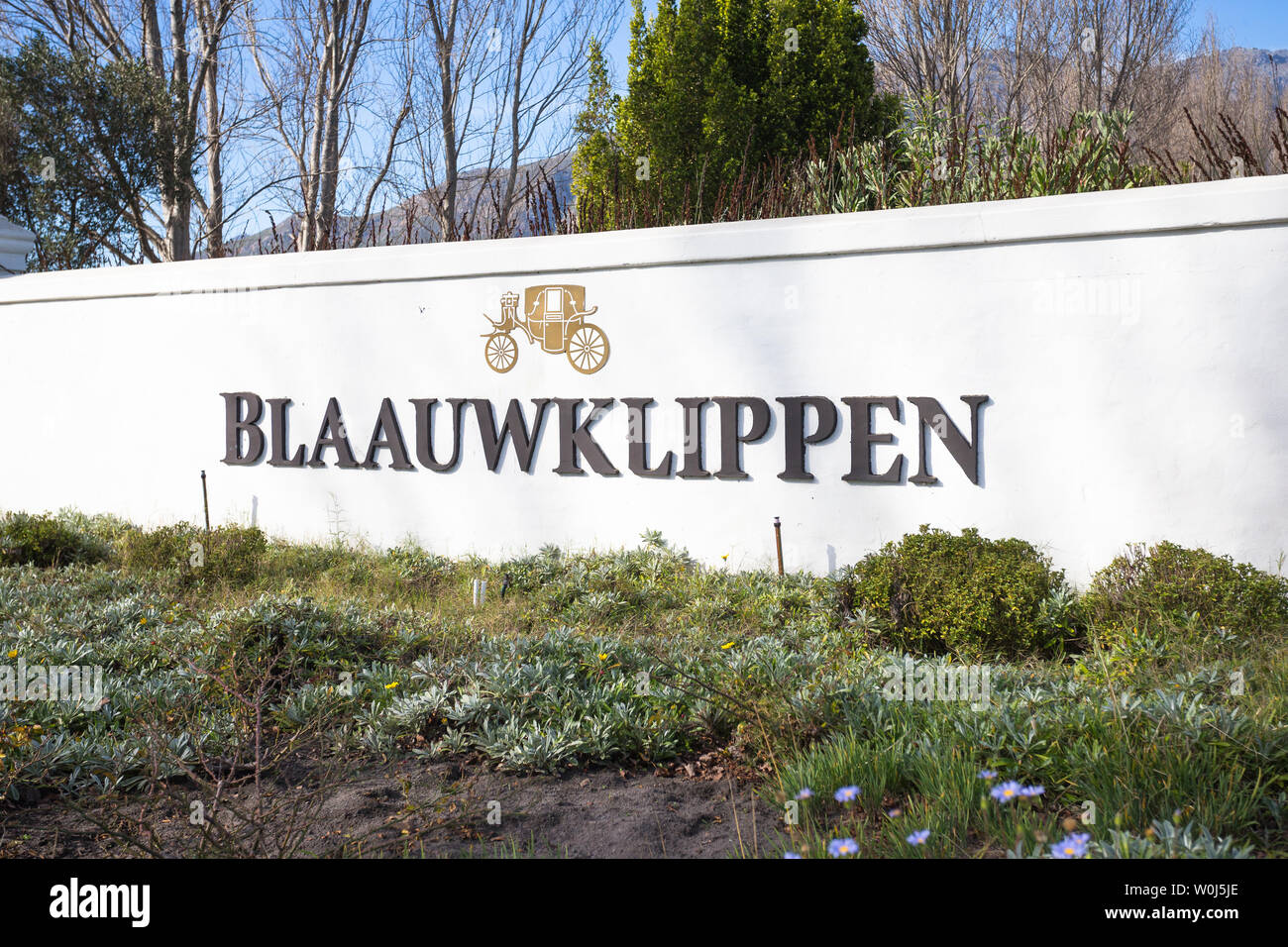Blaauwklippen wine estate main entrance and white wall with name on it  in Stellenbosch, Cape WInelands, South Africa Stock Photo