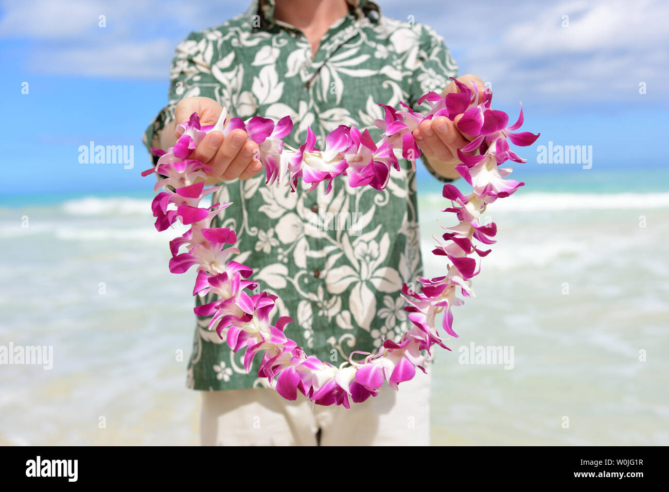 Hawaii tradition - giving a Hawaiian flowers lei. Portrait of a male person holding a garland of flowers as the Hawaiian culture welcoming gesture for tourists travelling to the Pacific islands. Stock Photo