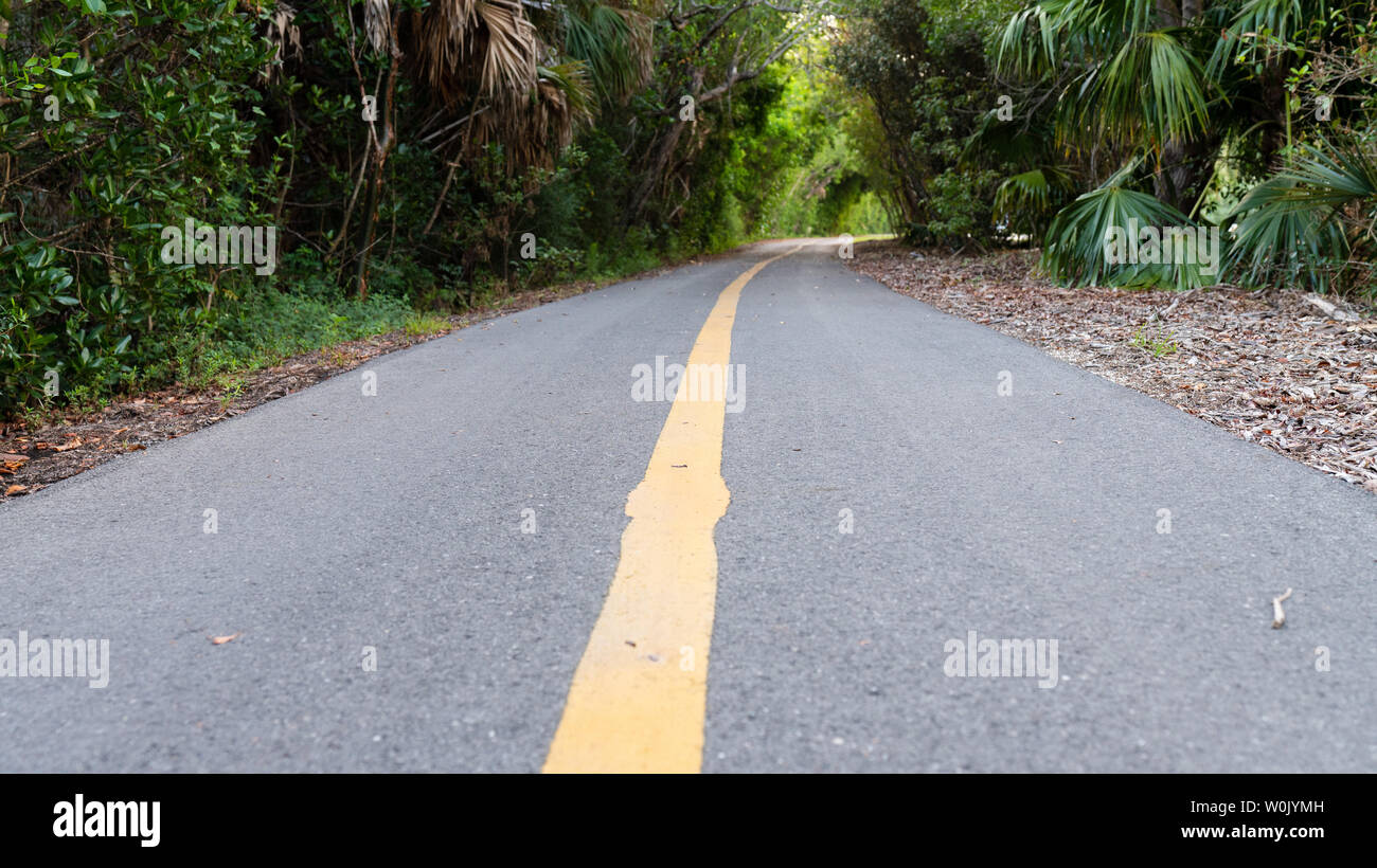 Yellow center line on a rural tarred road winding away through lush green tropical vegetation in a low angle view Stock Photo