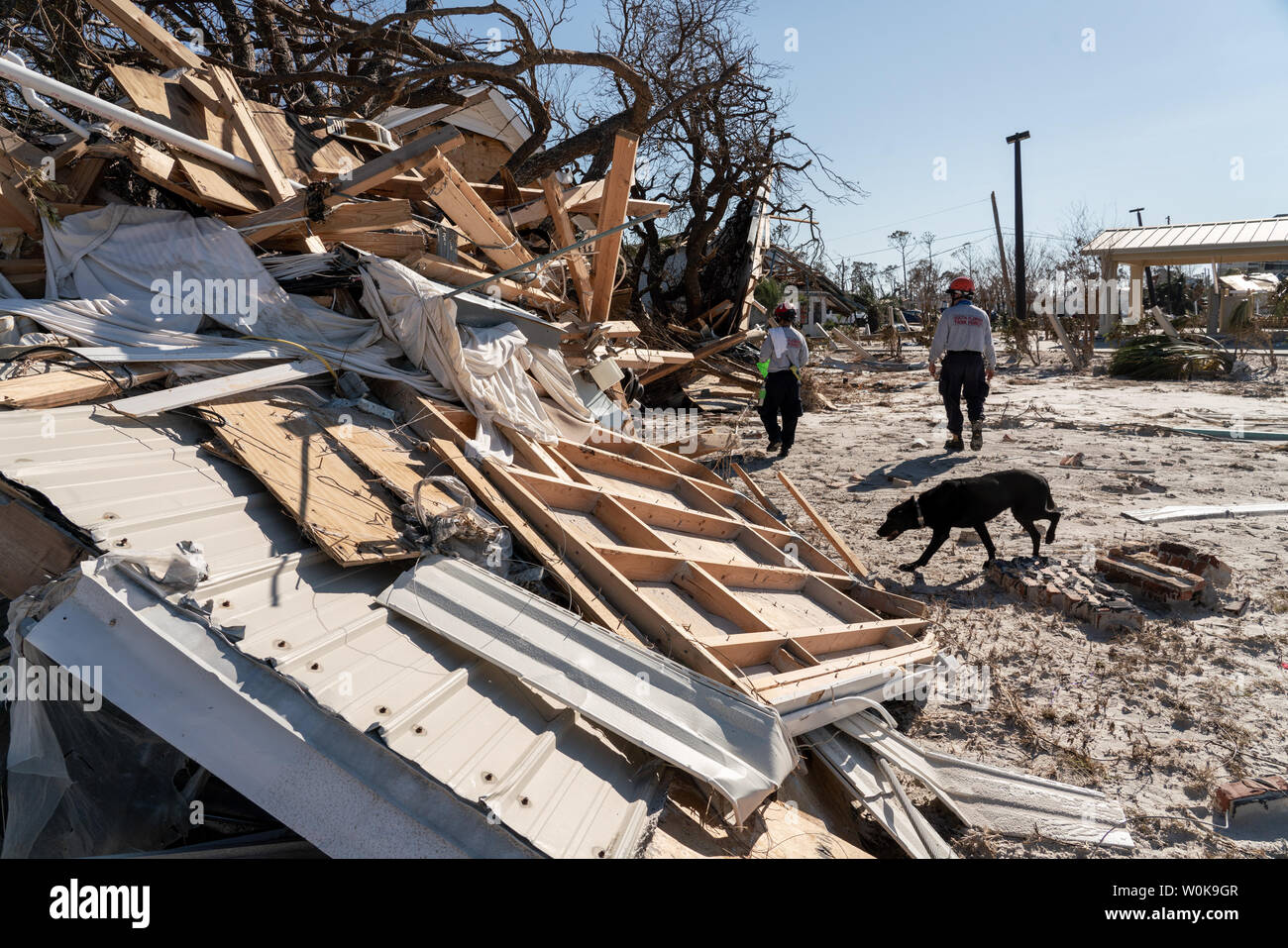 Hurricane dog rescue florida hires stock photography and images Alamy