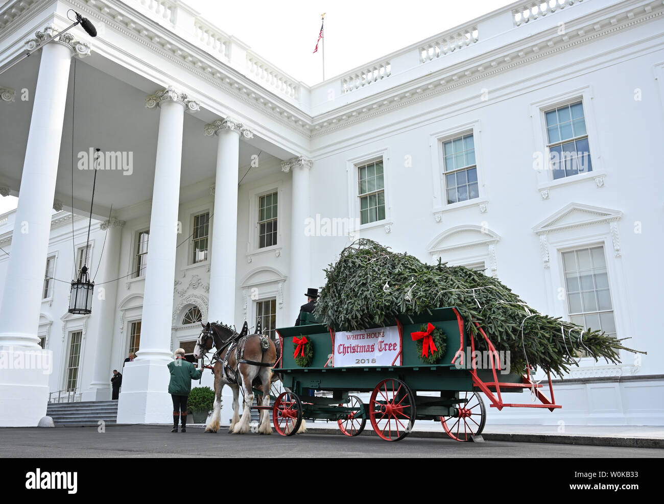 The official White House Christmas tree arrives at the White House in ...