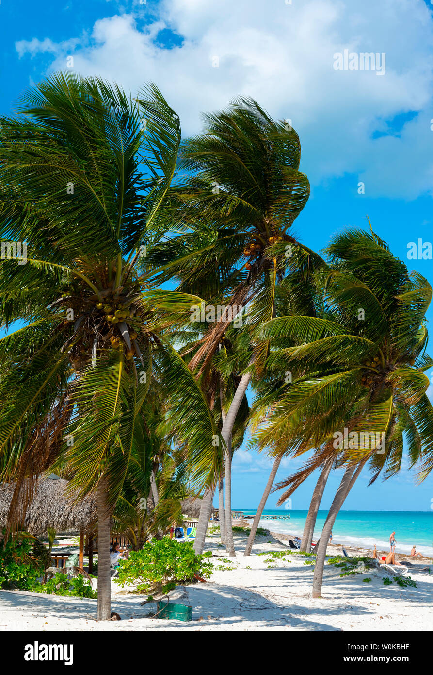 The white sand beach paradise on Cayo Levisa, in the Colorados Archipelago, Pinar del Rio