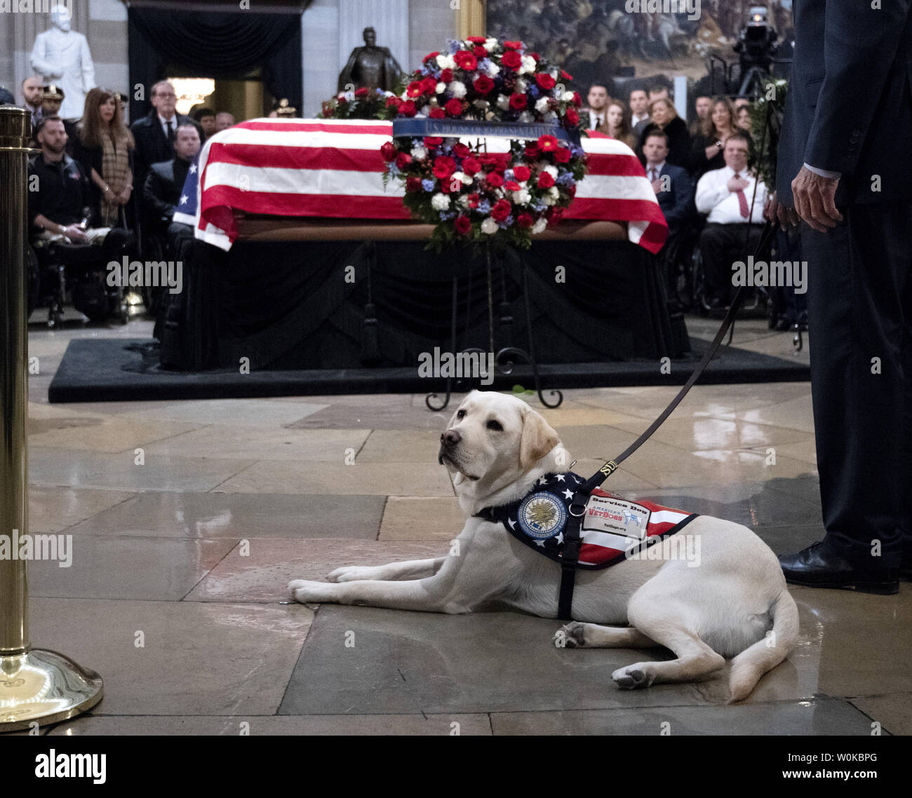 Sully, the service dog for former President George H. W. Bush, rests in front of the coffin as the 41st president lies in state at the U.S. Capitol Rotunda, in Washington, D.C. on December 4, 2018.  There will be a State Funeral at the National Cathedral on Wednesday, December 5, 2018.   Photo by Pat Benic/UPI Stock Photo