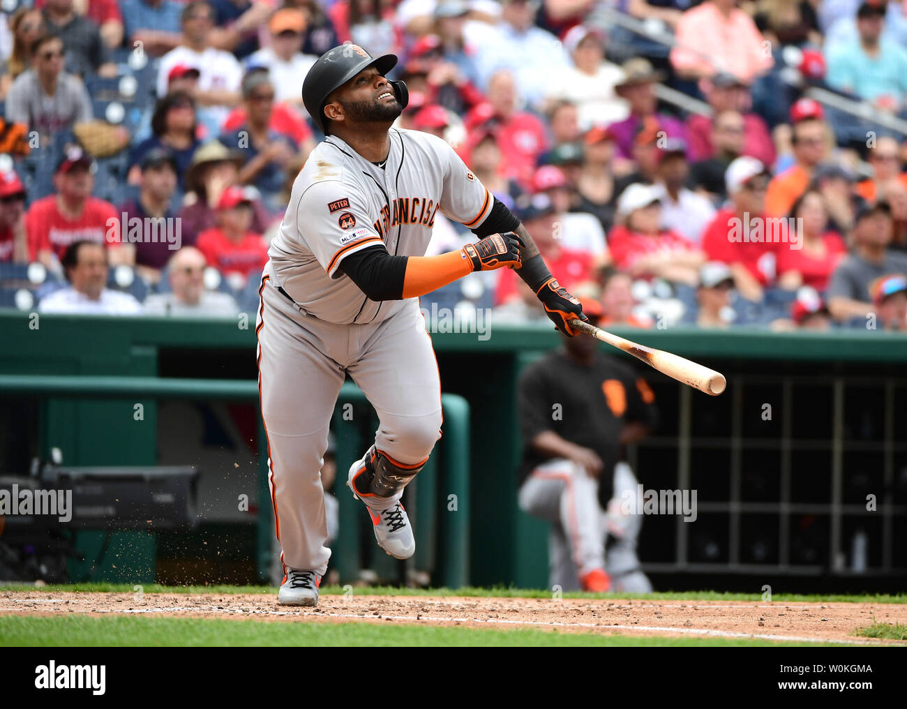 Pablo Sandoval, once MLB's belt-busting 'Panda,' shows off