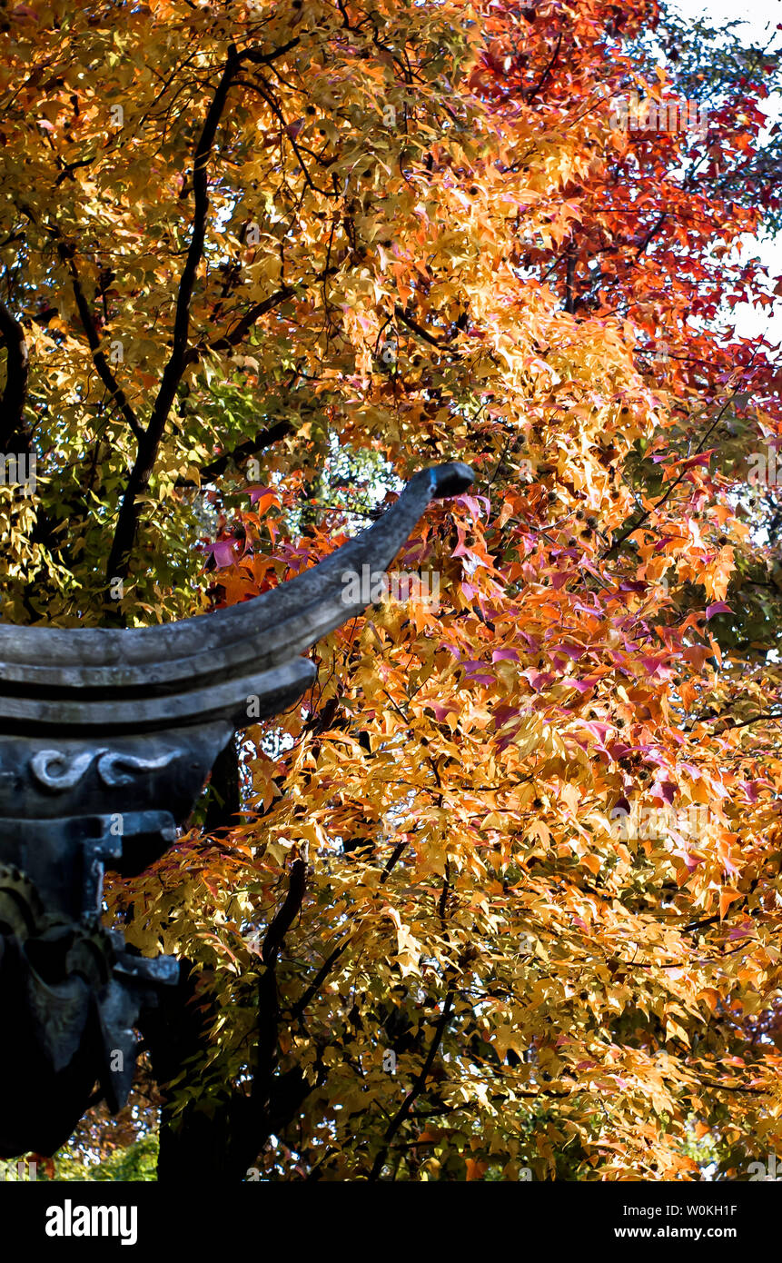 Autumn leaves in Tianping Mountain, Suzhou Stock Photo - Alamy