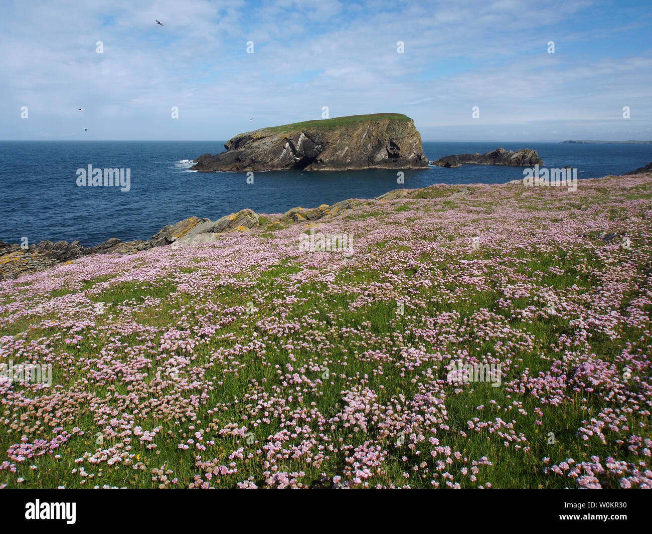Hich Holm from St Ninian's isle, Shetland, Scotland Stock Photo