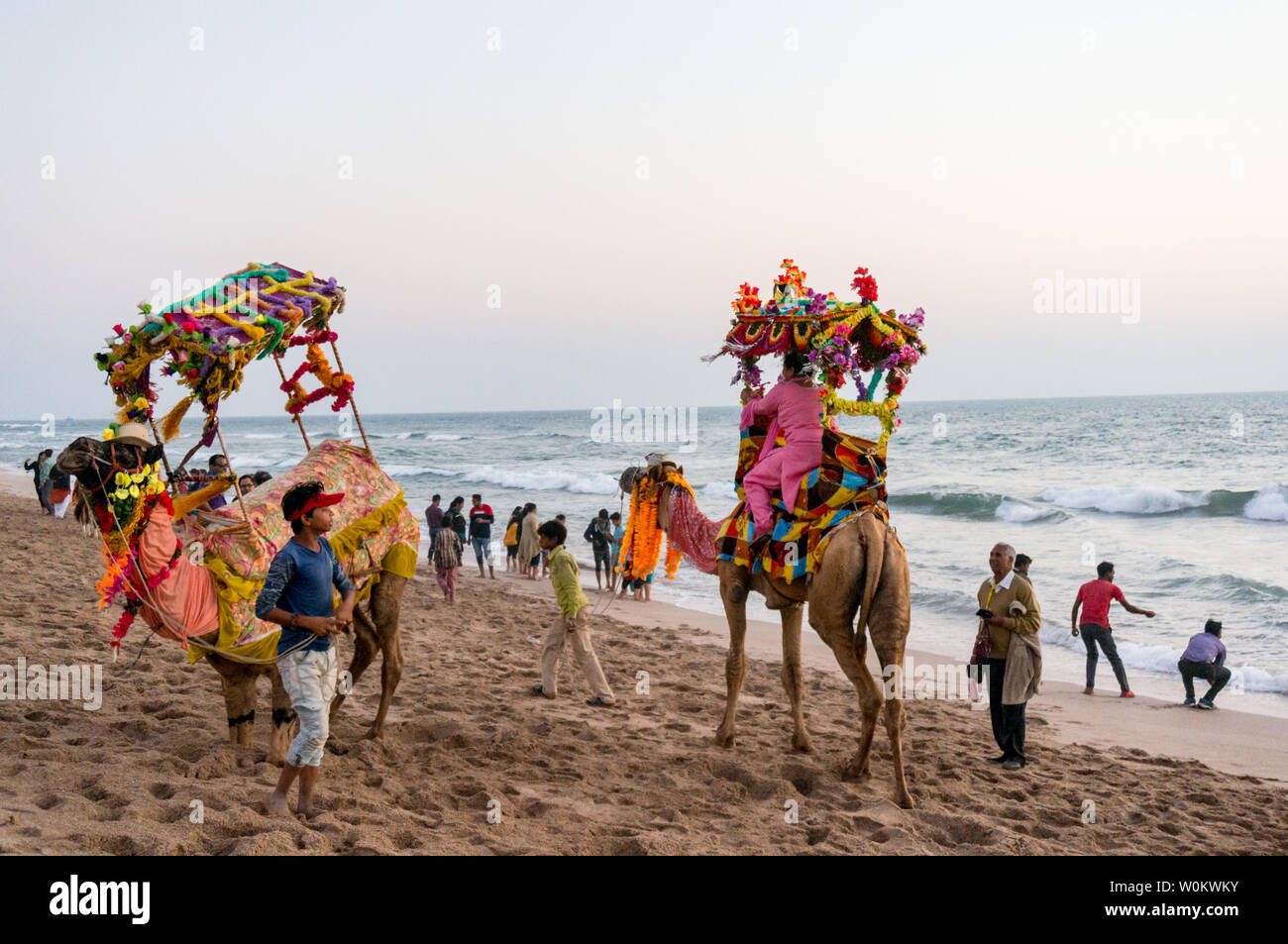 Diu, Daman, Gujarat, India - Circa 2019: camels with colorful garlands, palanquins and funny hats with tourists in the background enjoying the beach a Stock Photo