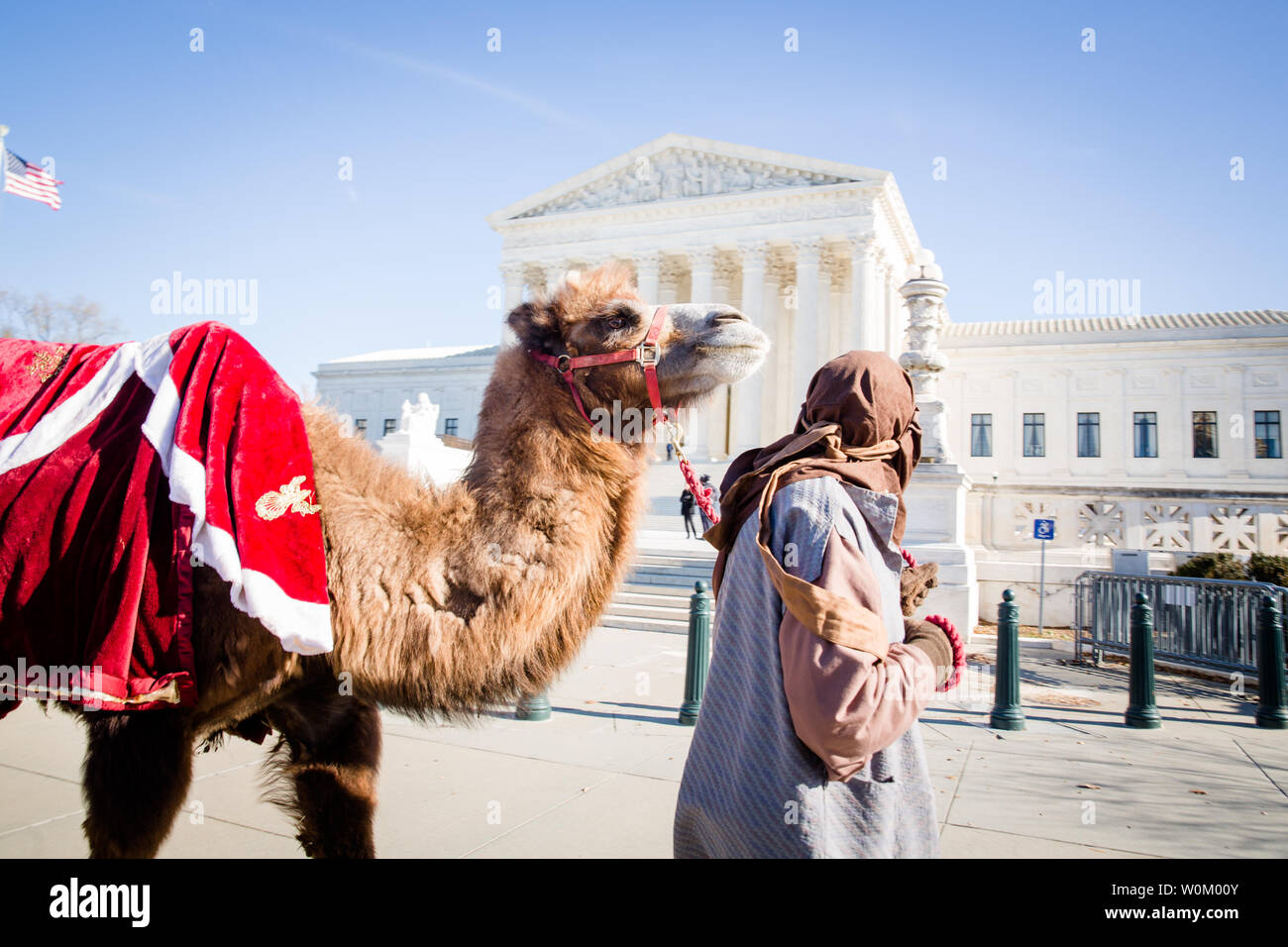 An actor portraying a shepherd leads a camel past the Supreme Court ...