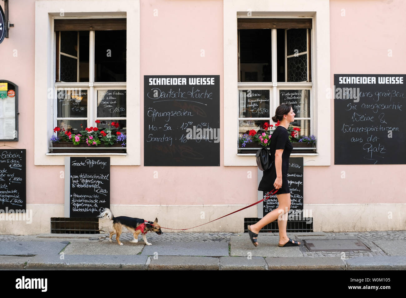 Woman walking her dog, Berlin Stock Photo