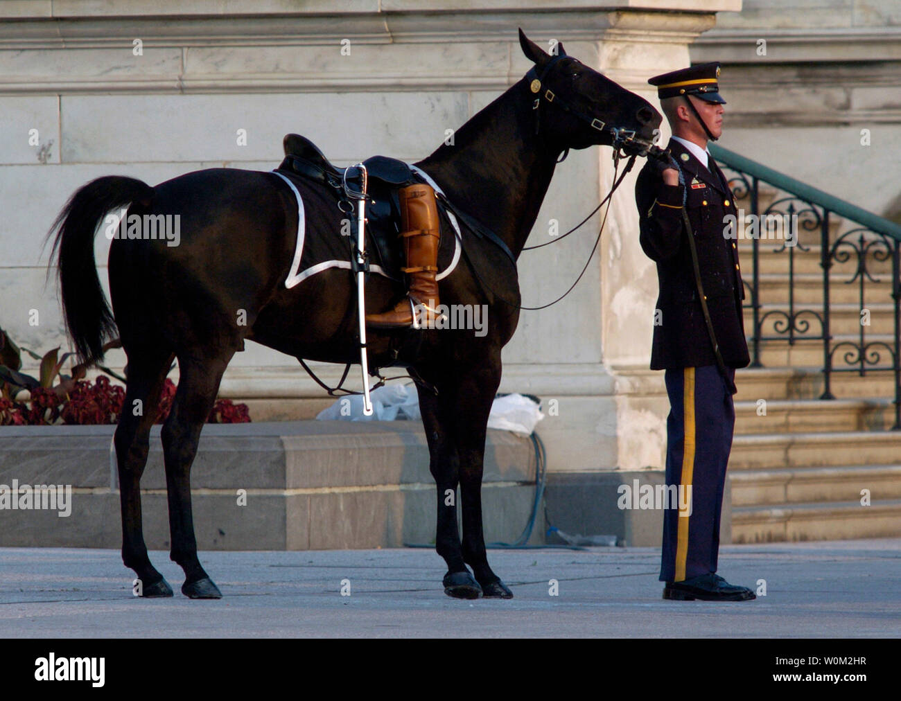 Riderless Horse High Stock Photography and Images Alamy