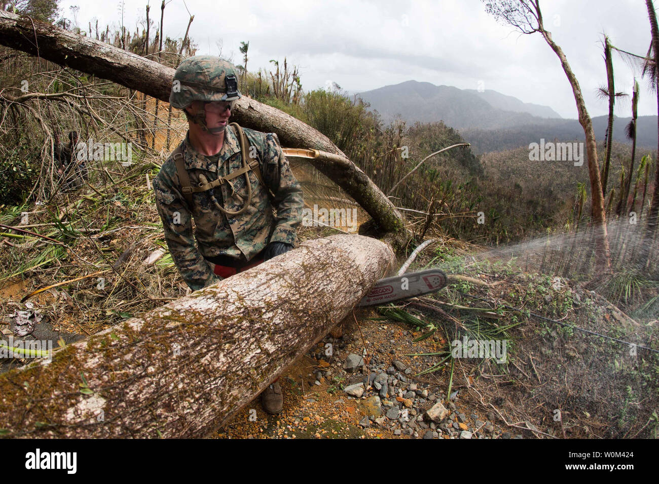 A U.S. Marine with Battalion Landing Team 2nd Battalion, 6th Marine Regiment, 26th Marine Expeditionary Unit (MEU), uses a chainsaw to cut a tree blocking a road as part of Hurricane Maria relief efforts in Ceiba, Puerto Rico, on September 27, 2017. The 26th MEU is supporting the Federal Emergency Management Agency, the lead federal agency, and local authorities in Puerto Rico with the combined goal of protecting the lives and safety of those in affected areas. Photo by Lance Cpl. Alexis Schneider/U.S. Marine Corps/UPI Stock Photo