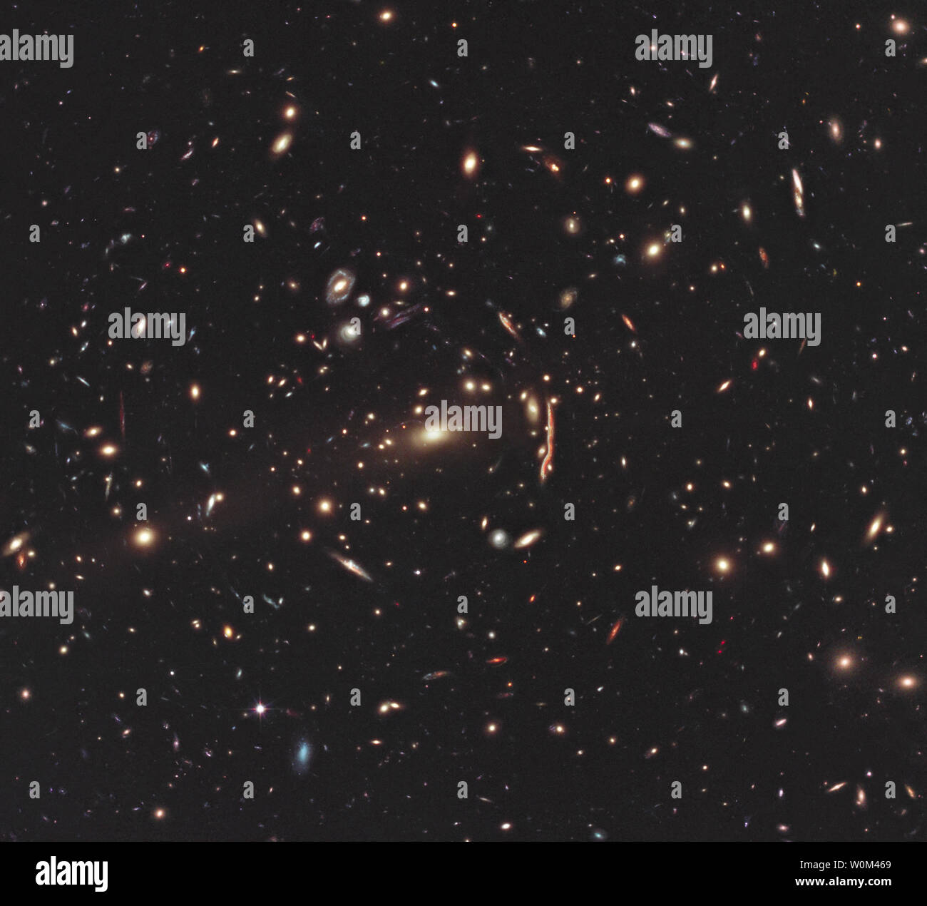 Like A Magnifying Glass High Resolution Stock Photography And Images Alamy