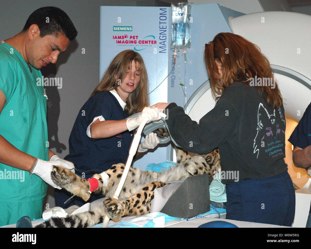 Diabetic pet hires stock photography and images Alamy