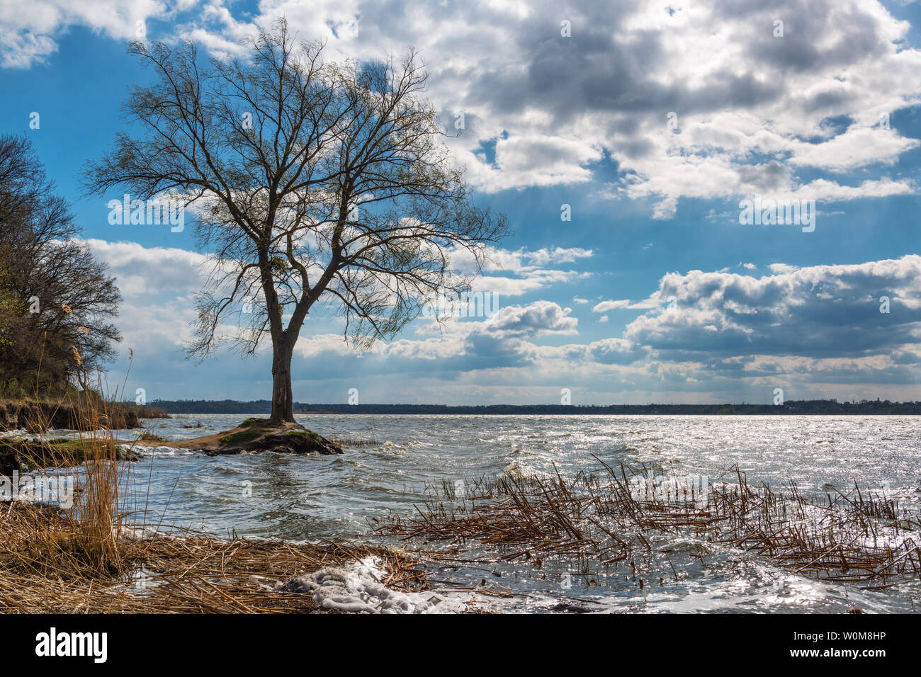 Wet landscape lonely tree hi-res stock photography and images - Alamy