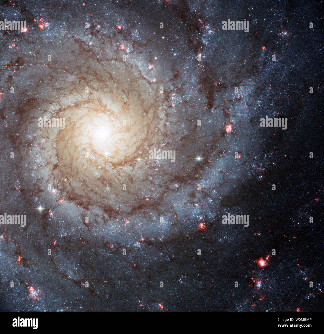 Spiral Galaxy M74 is seen in this Hubble Space Telescope composite image. Messier 74, also called NGC 628, is a stunning example of a 'grand-design' spiral galaxy that is viewed by Earth observers nearly face-on. Its perfectly symmetrical spiral arms emanate from the central nucleus and are dotted with clusters of young blue stars and glowing pink regions of ionized hydrogen (hydrogen atoms that have lost their electrons). M74 is located roughly 32 million light-years away in the direction of the constellation Pisces, the Fish.    (UPI Photo/NASA/ESA/HST) Stock Photo