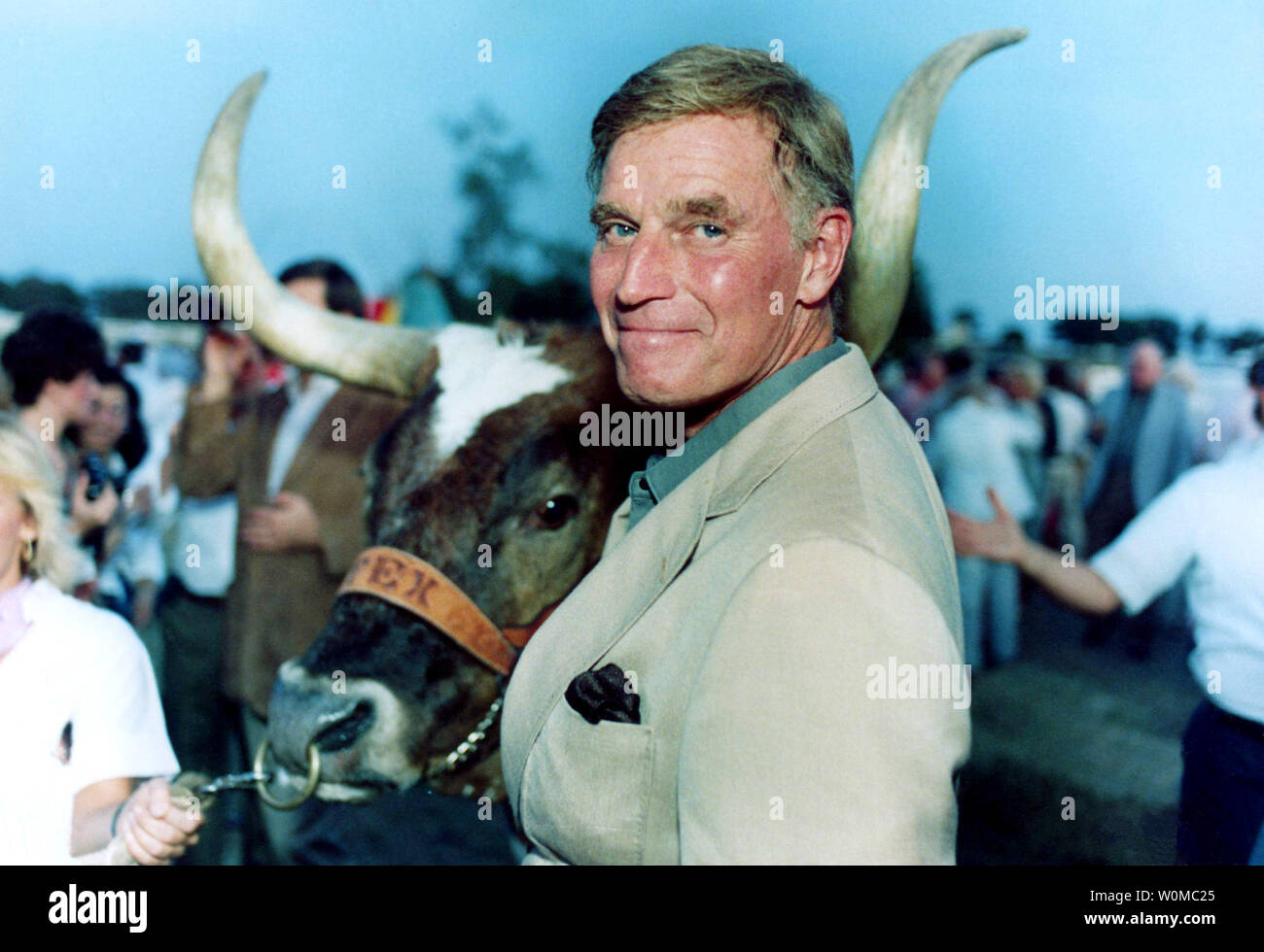 Actor Charlton Heston, seen here in this undated file photo standing in front of a Texas Longhorn Bull, died at the age of 84 at his home in Beverly Hills on April 5, 2008. (UPI Photo/File) Stock Photo