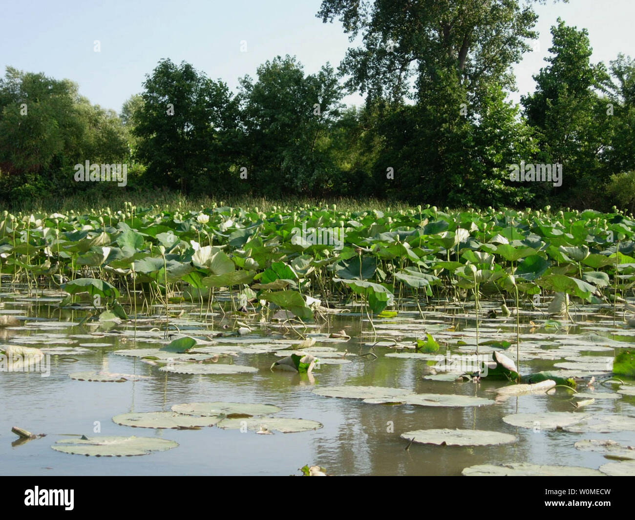 Coastal zone management program hires stock photography and images Alamy
