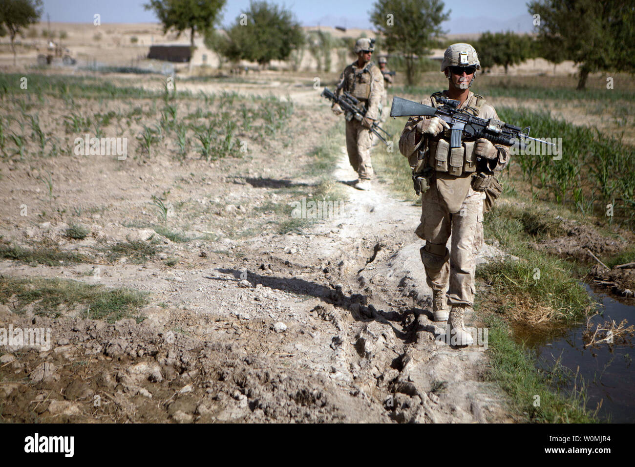 U.S. Marine Corps Cpl. Robert Dominguez, a team leader with Regimental Combat Team 8, 3rd Platoon, Bravo Company, 1st Battalion, 5th Marine Regiment, walks between cornfields while conducting a security patrol in Sangin, Afghanistan, on July 22, 2011.  Marines conducted patrols to suppress enemy activity and gain Afghan trust.    UPI/Kowshon Ye/USMC Stock Photo