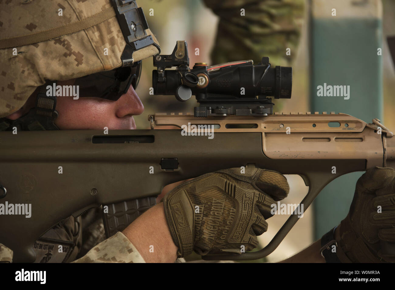その他 Army Australia e Odgers その他 Army Australia George Odgers Army Australia George