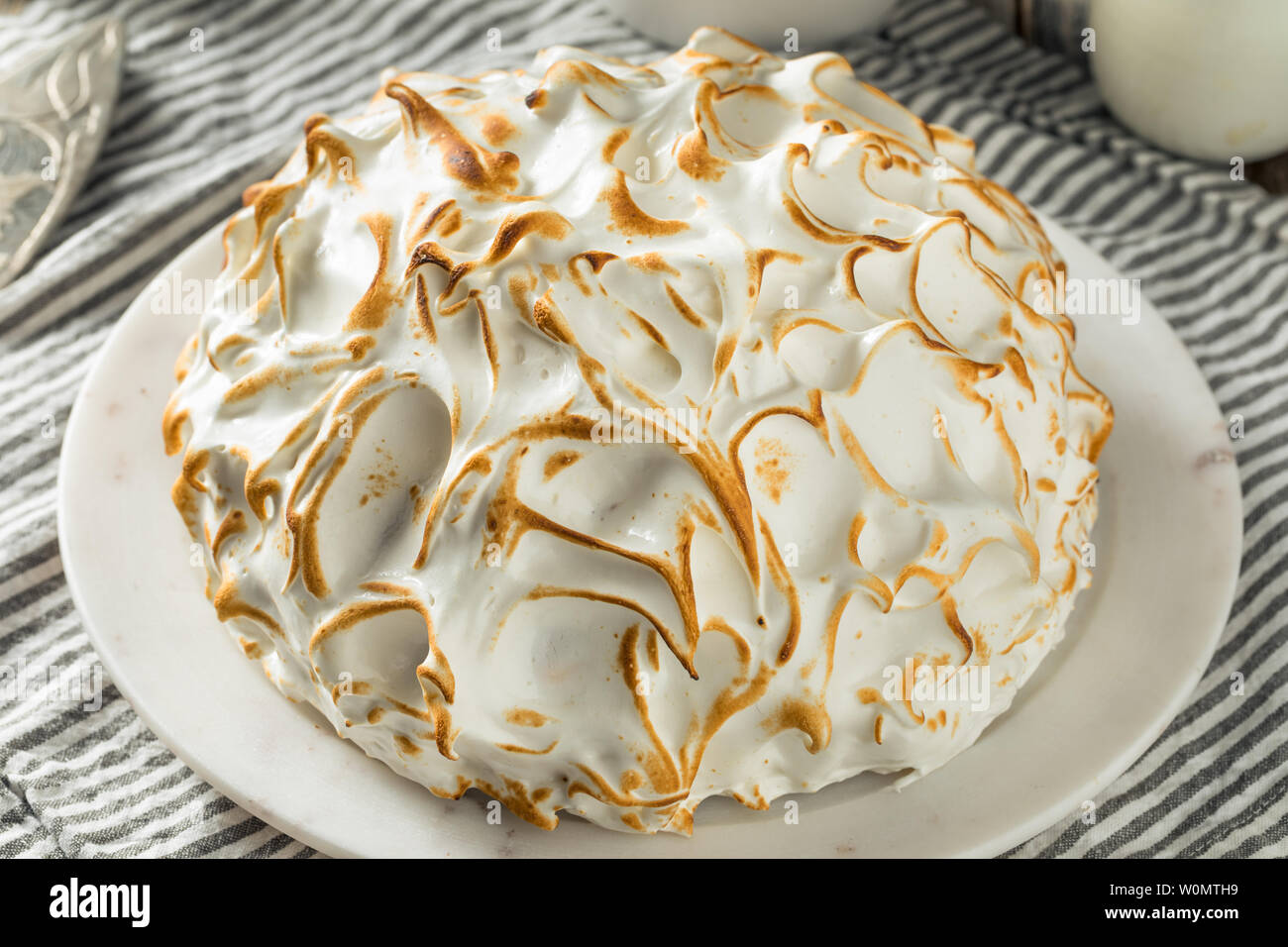 Homemade Toasted Baked Alaska with Chocolate Berry Vanilla Ice Cream
