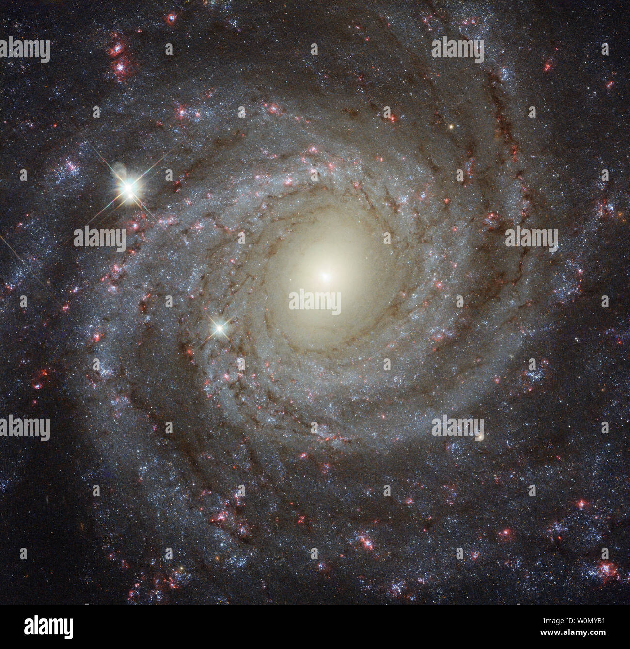 This image, released on February 14, 2018, of the spiral galaxy NGC 3344, located about 20 million light-years from Earth, is a composite of images taken through seven different filters. They cover wavelengths from the ultraviolet to the optical and the near-infrared. Together they create a detailed picture of the galaxy and allow astronomers to study many different aspects of it. Beauty, grace, mystery - this magnificent spiral galaxy has all the qualities of a perfect galactic Valentine. Captured by the NASA/ESA Hubble Space Telescope, the galaxy NGC 3344 presents itself face-on, allowing as Stock Photo
