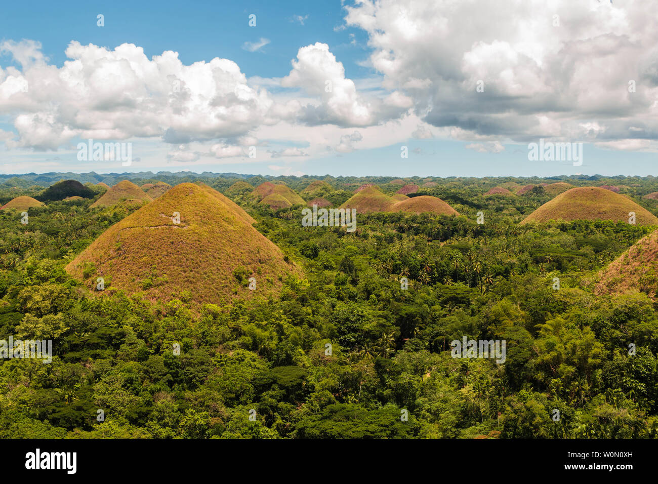Chocolate Hills in Bohol, The Philippines. Bohol's most famous tourist attraction Stock Photo