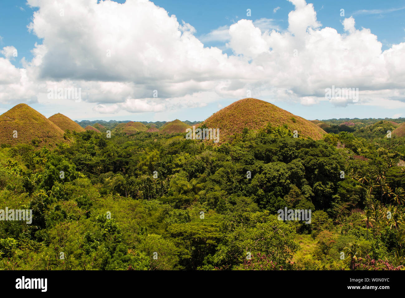 Chocolate Hills in Bohol, The Philippines. An unusual geological formation Stock Photo