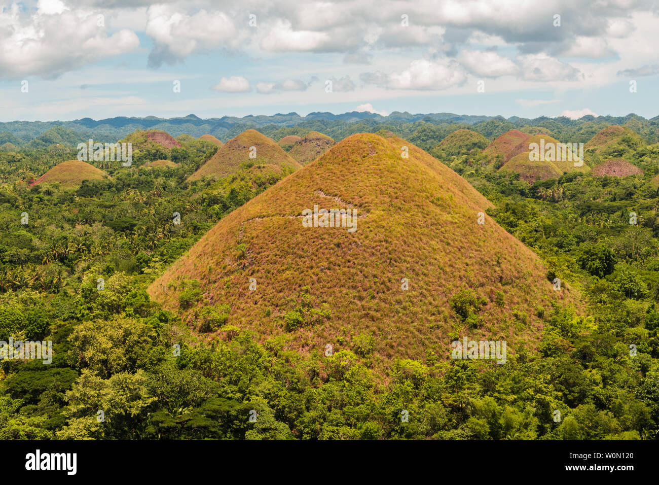 Chocolate Hills in Bohol, The Philippines. Chocolate Hills in Bohol