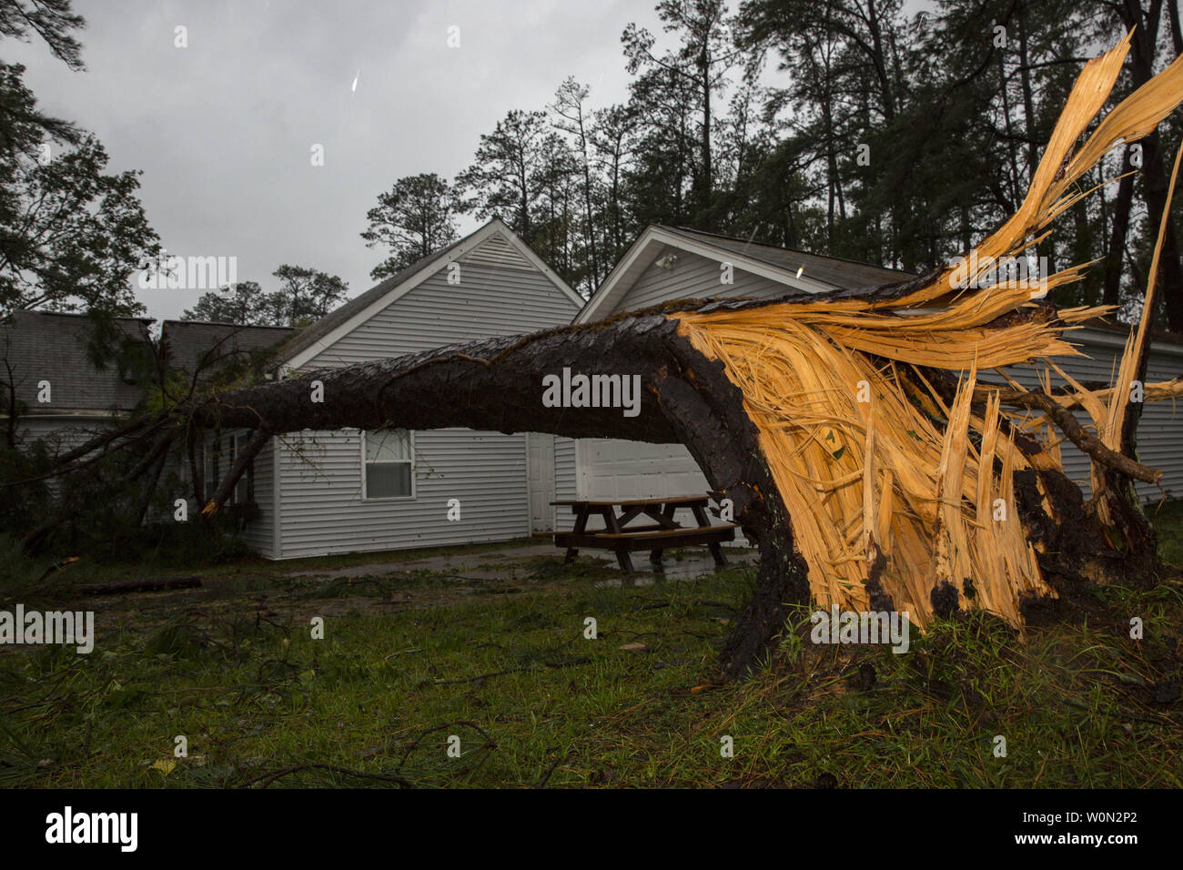 A tree collapsed on the Paradise Point houses during Hurricane Florence on Marine Corps Base Camp Lejeune, N.C., on September 15, 2018. Hurricane Florence impacted MCB Camp Lejeune and Marine Corps Air Station New River with periods of strong winds, heavy rains, flooding of urban and low lying areas, flash floods and coastal storm surges. Photo by Lance Cpl. Isaiah Gomez/U.S. Marine Corps/UPI Stock Photo