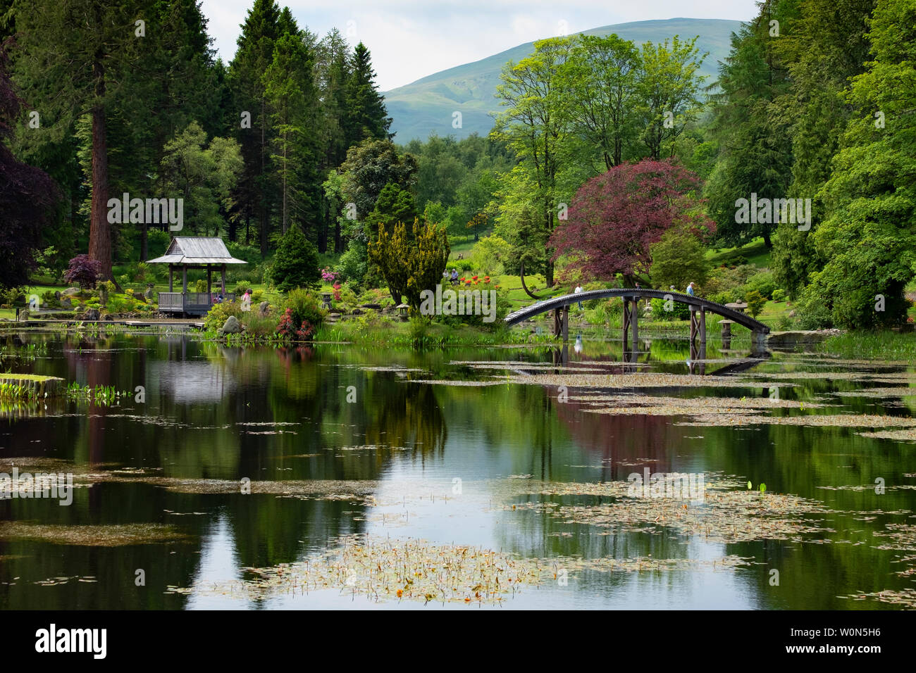 The japanese garden dollar hires stock photography and images Alamy