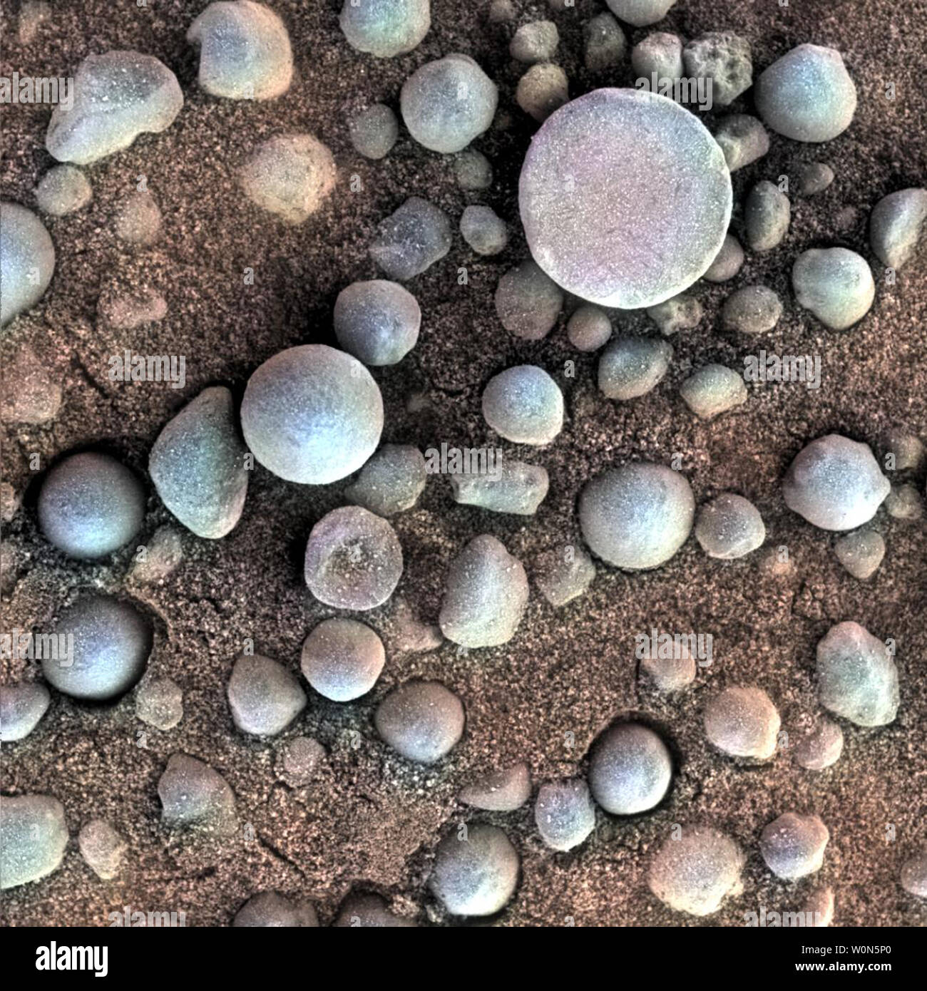 The small spherules on the Martian surface in this close-up image are near Fram Crater, visited by NASA's Mars Exploration Rover Opportunity during the 84th Martian day, or sol, of the rover's work on Mars (April 19, 2004). The area shown is 1.2 inches (3 centimeters) across. These are examples of the mineral concretions nicknamed 'blueberries.' Opportunity's investigation of the hematite-rich concretions during the rover's three-month prime mission in early 2004 provided evidence of a watery ancient environment. NASA announced on February 13, 2019, that one of the most successful and enduring Stock Photo