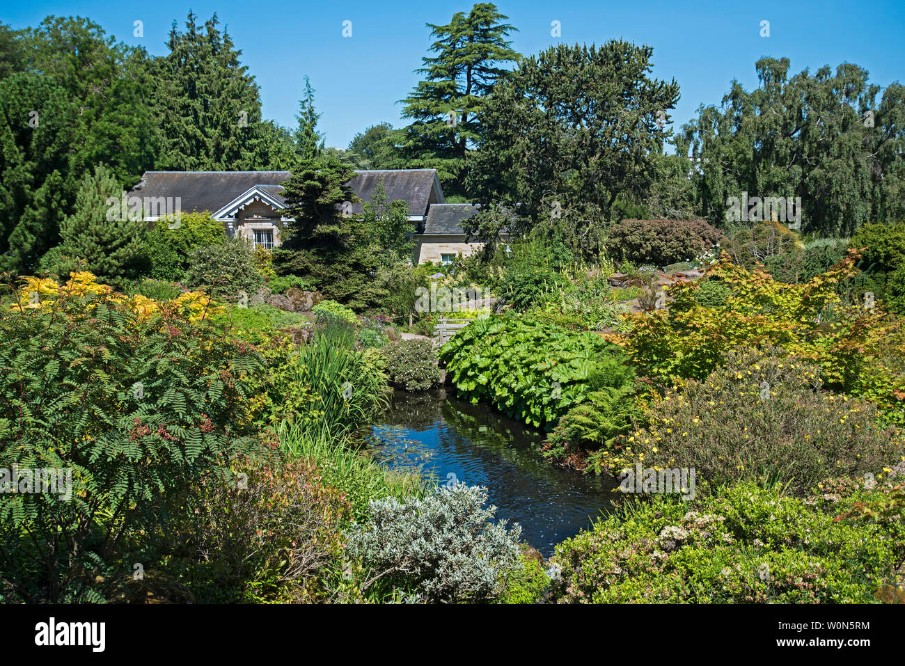 Rock Garden and Caledonia Hall in the Royal Botanic Garden Edinburgh (RBGE), Scotland, UK. Stock Photo