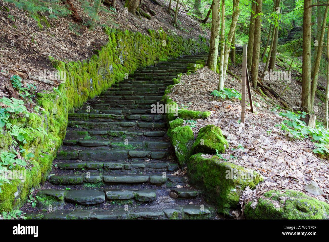 Steps to the upper end of Fillmore Glen State Park Stock Photo