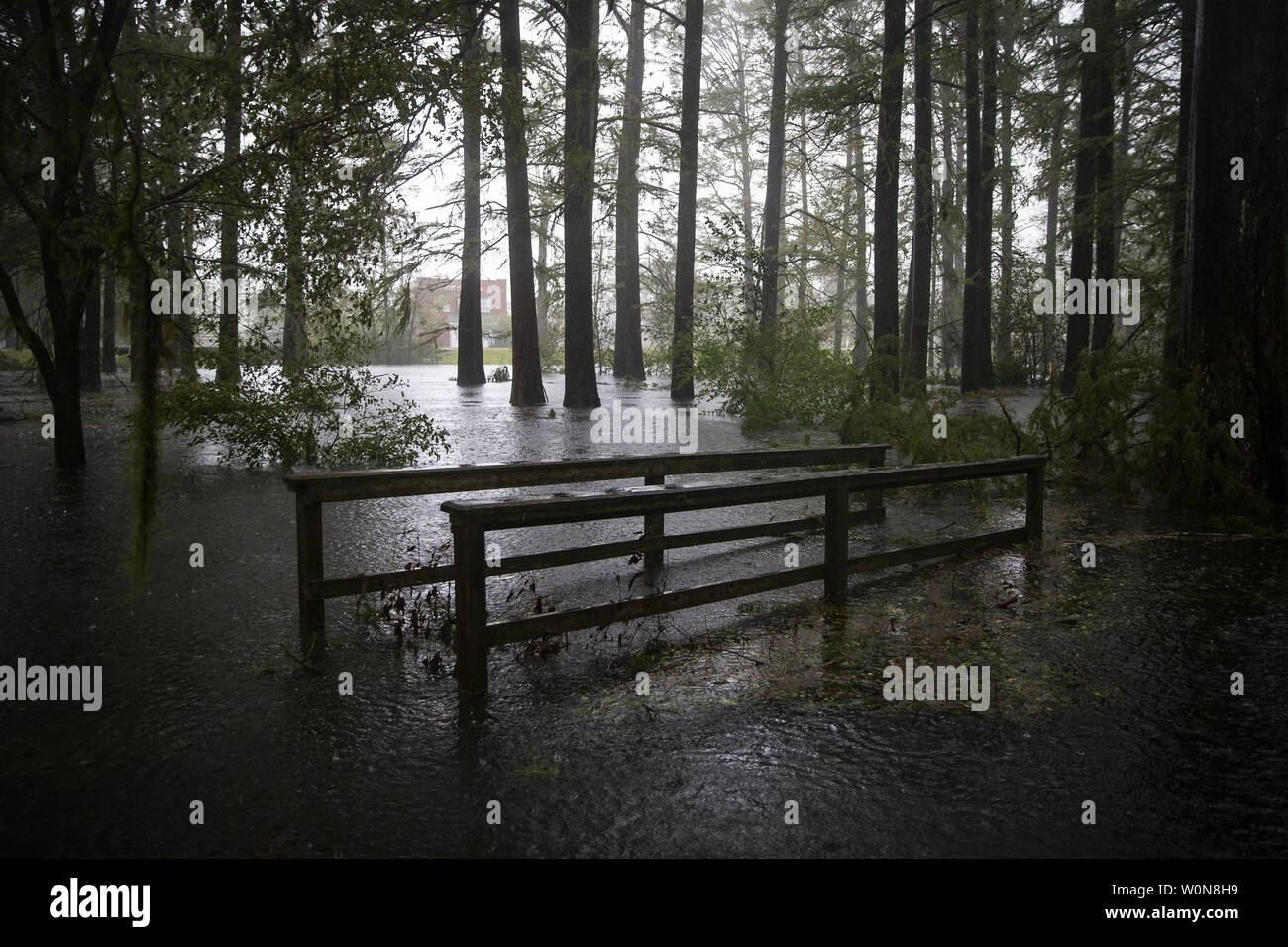 A bridge at Wallace Park is partially submerged as water levels rise
